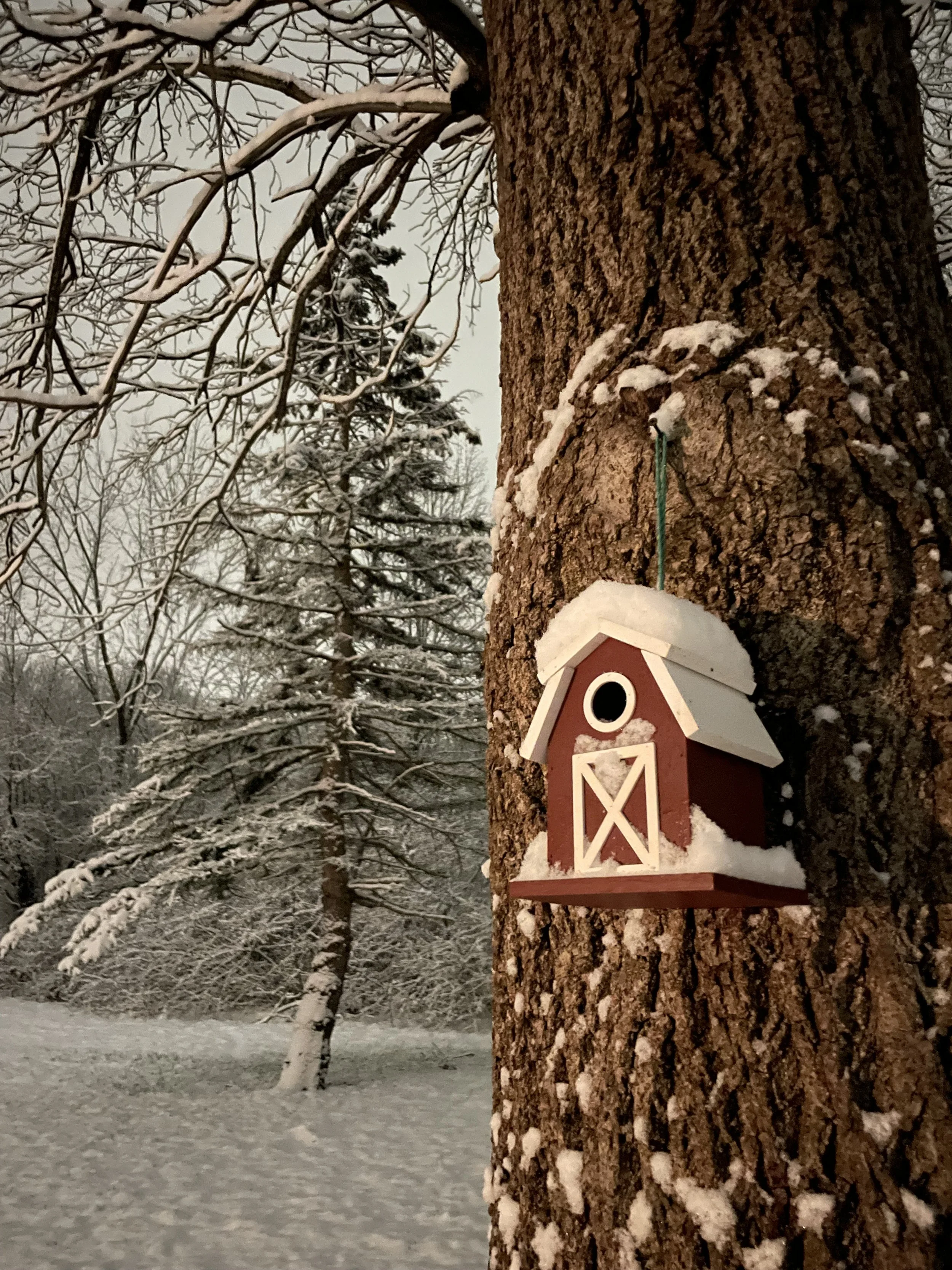 Middletown, Connecticut