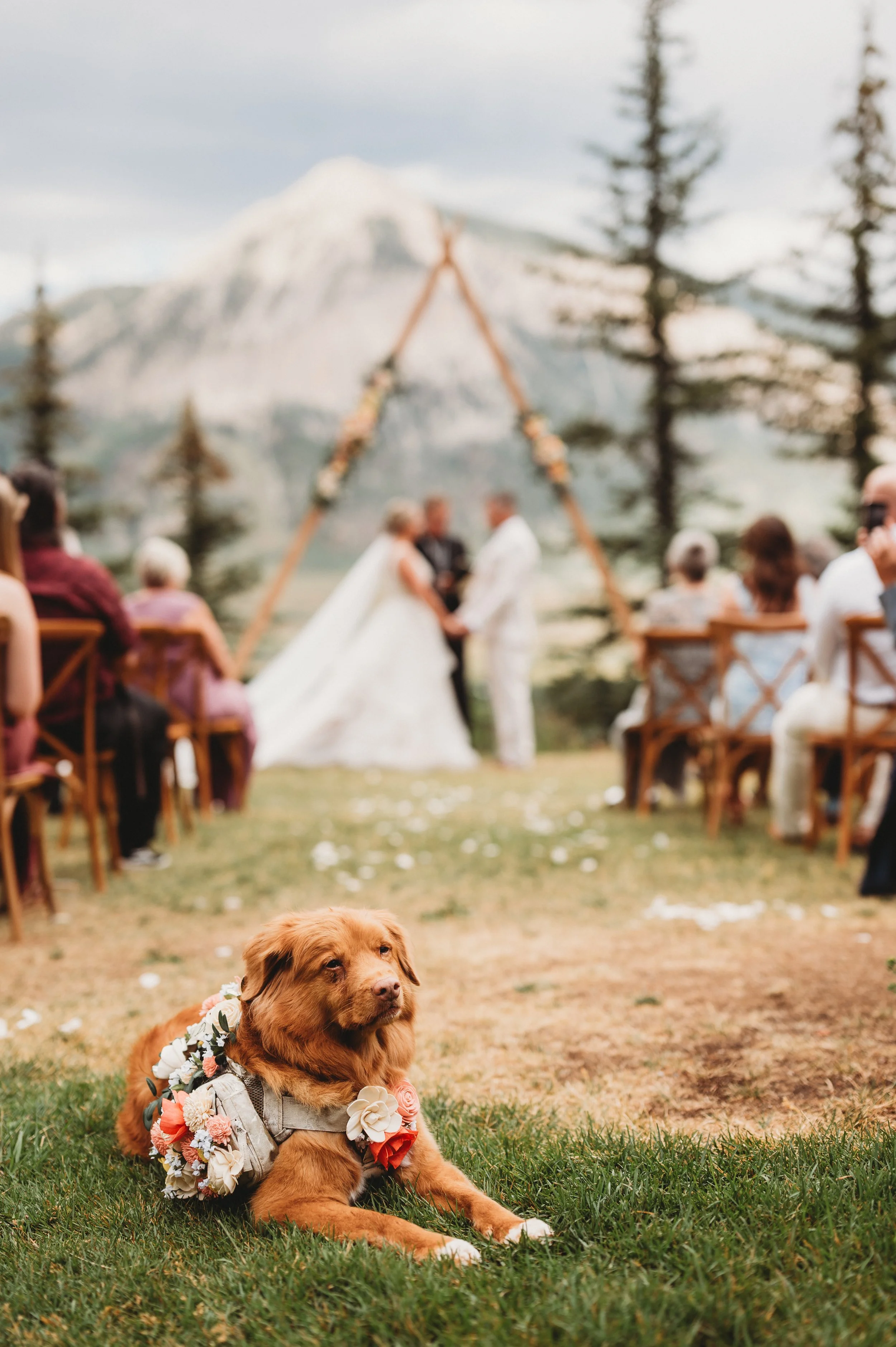 Ryan+Caitlin-271.jpg