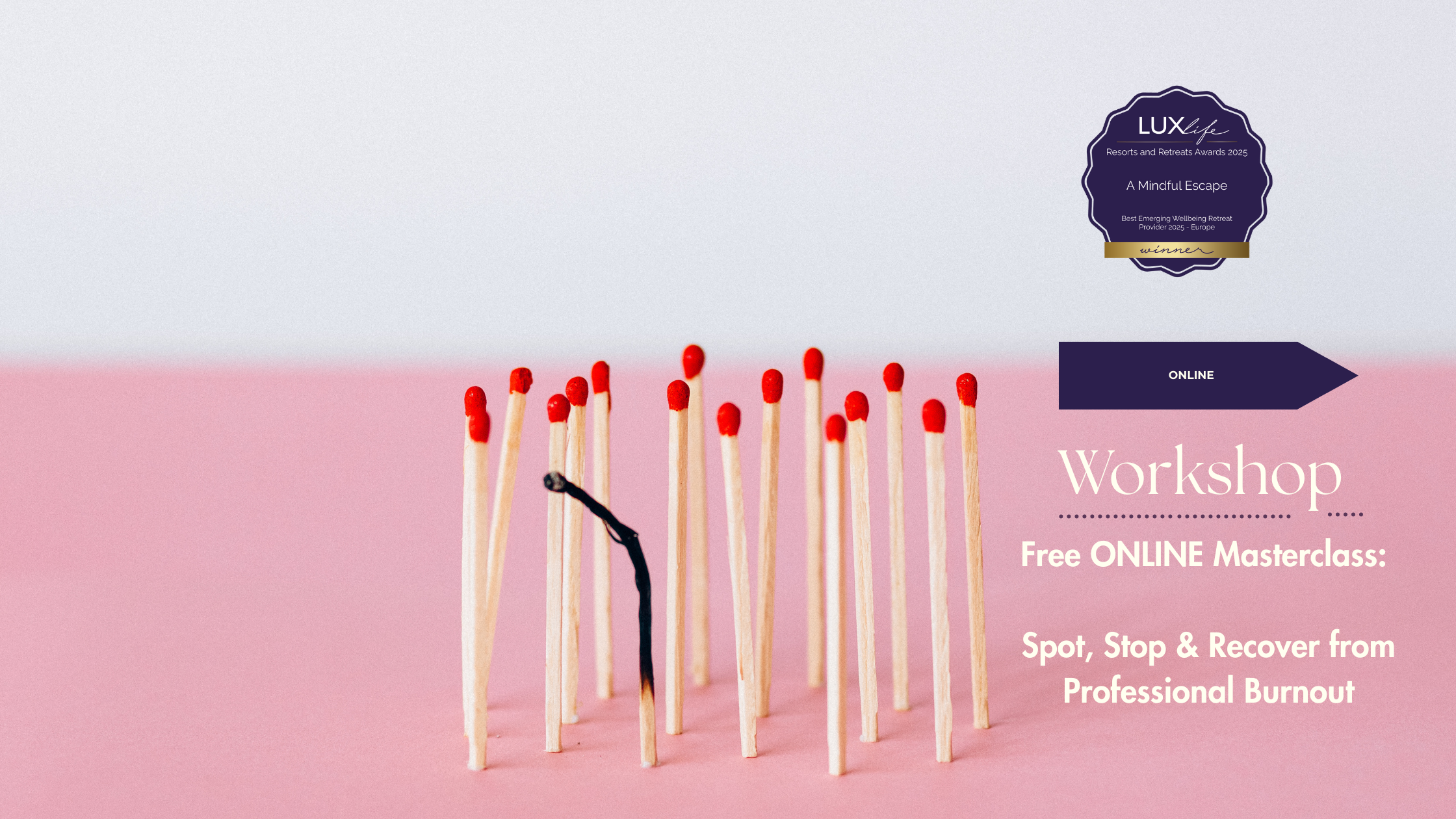 Free ONLINE Masterclass: Spot, Stop & Recover from Professional Burnout
