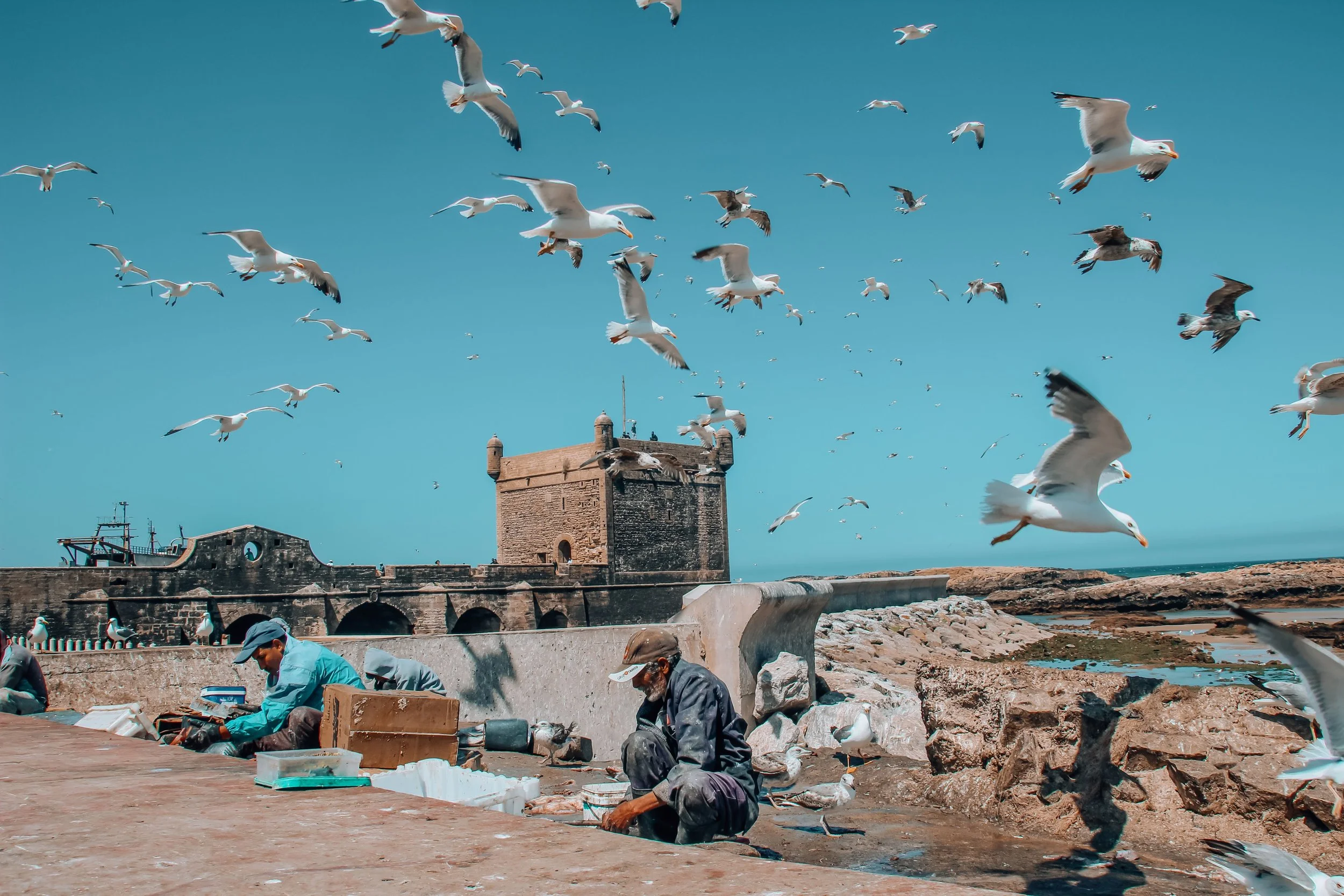 pexels-youssef-elbakbaki-886616014-35846256.jpg