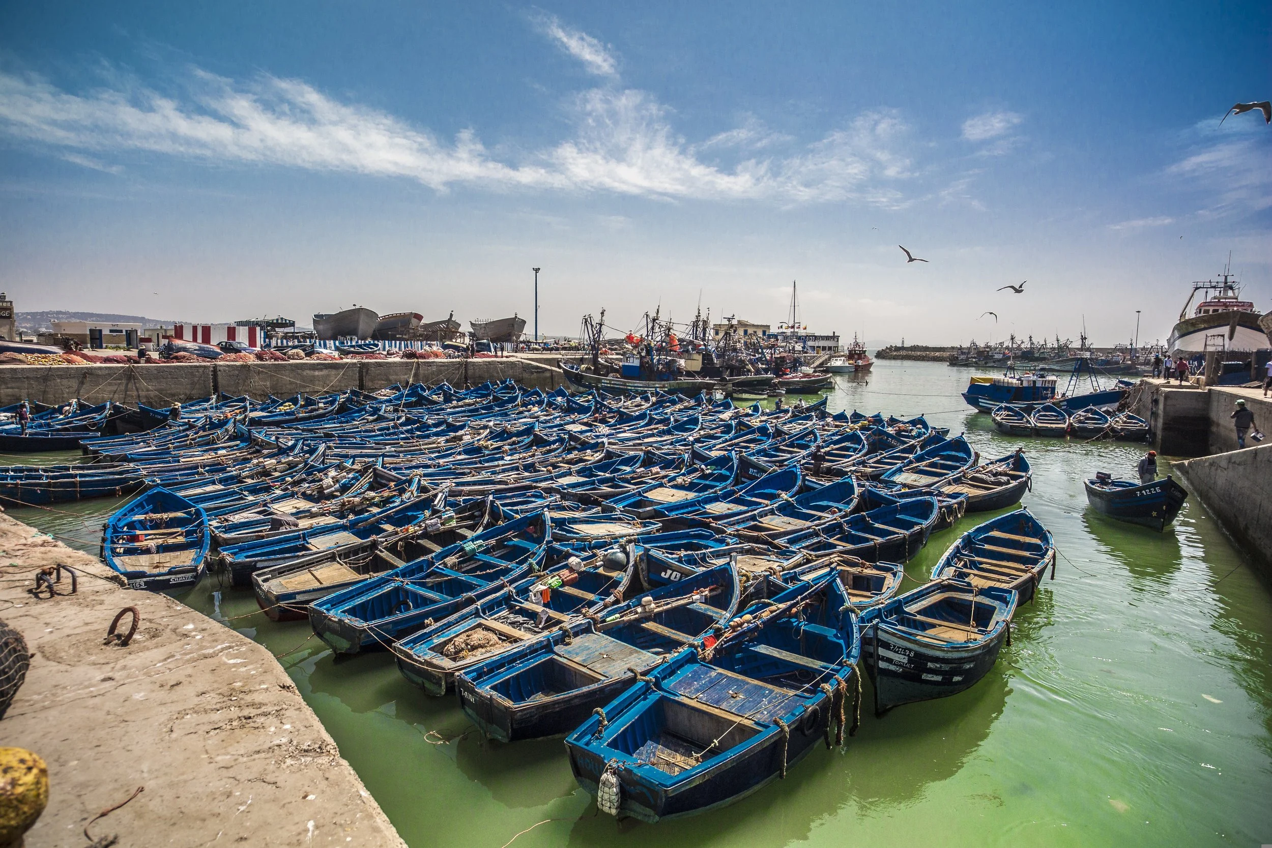 noel_bauza-morocco-1224034.jpg