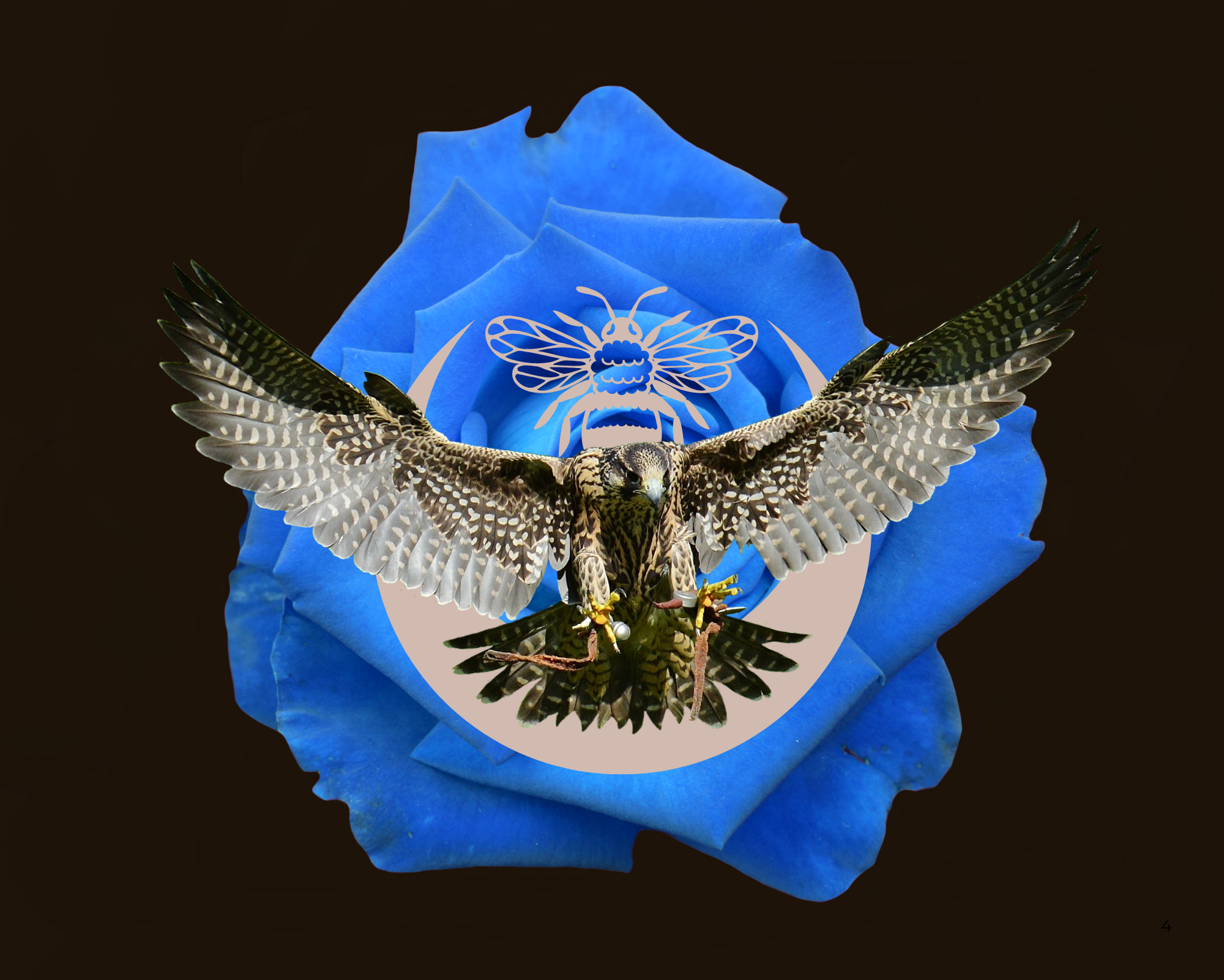 4.png