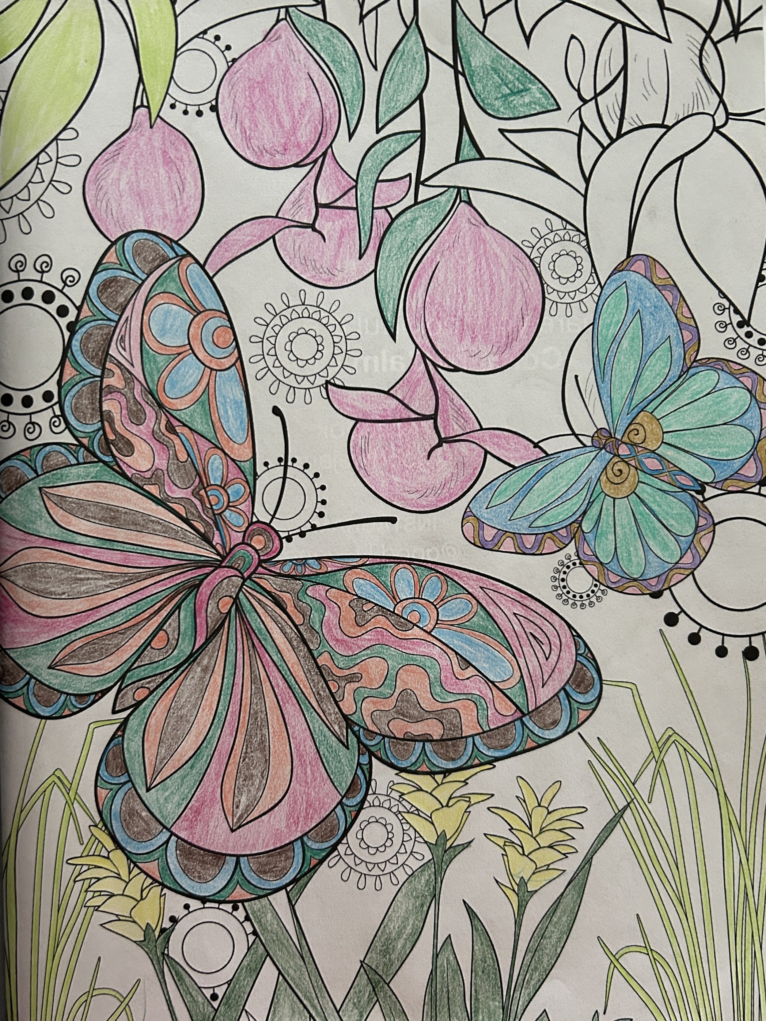 Coloring page featuring intricately designed butterflies, pink floral buds, green leaves, and grass with some areas colored in pastel shades.