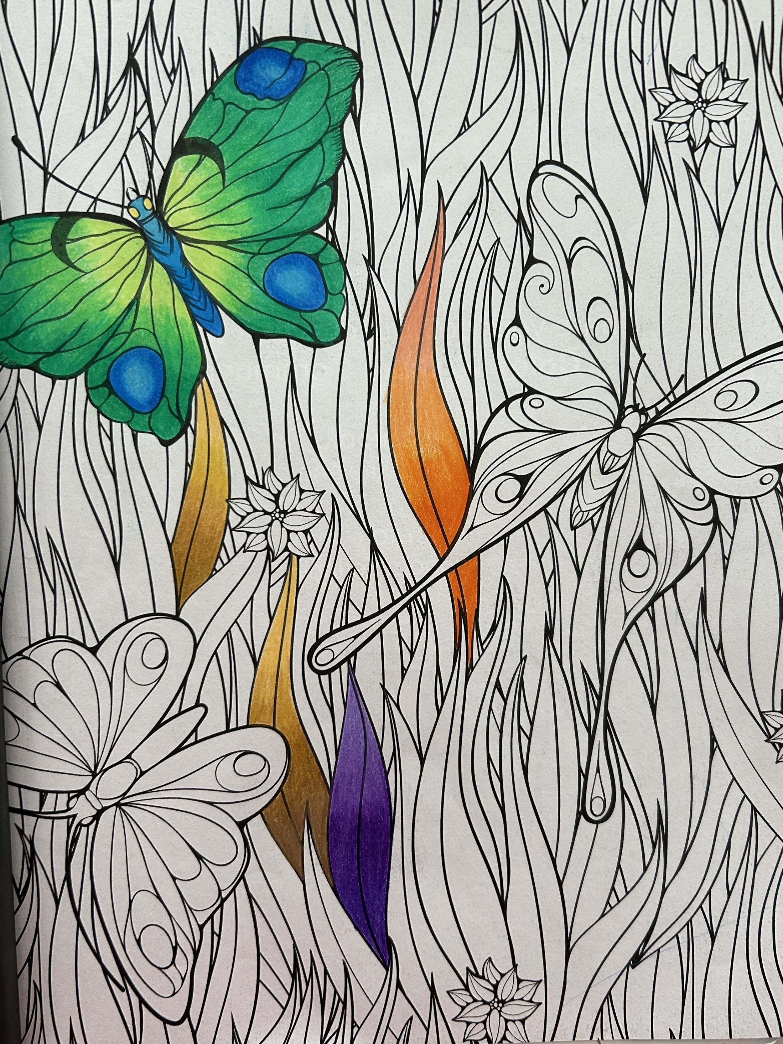 Coloring page featuring butterflies, leaves, and flowers with black outlines, some sections colored in green, blue, orange, purple, and yellow.