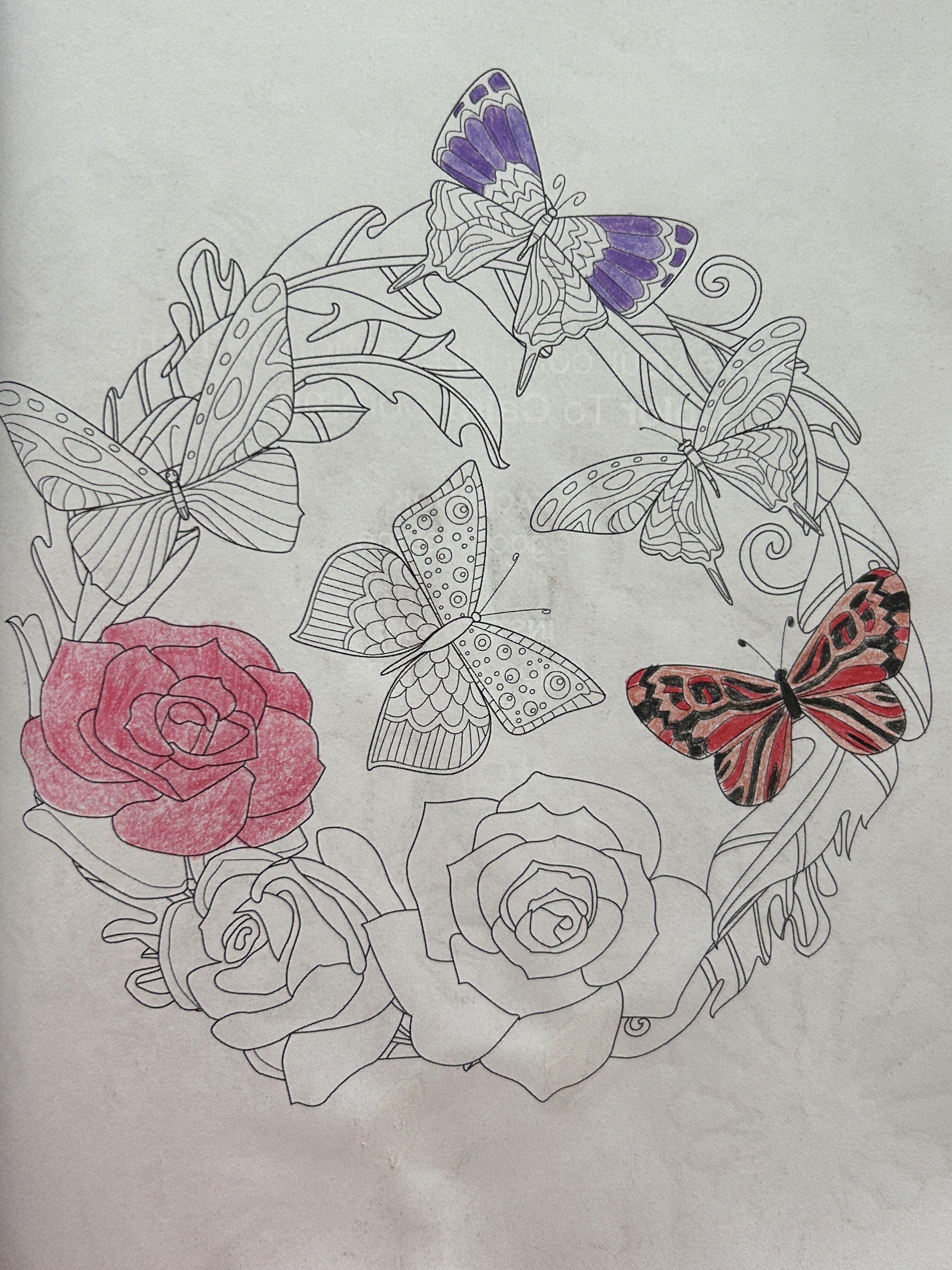 Coloring page of a floral wreath with roses and butterflies, some butterflies are colored purple and red with black patterns, roses are outlined.