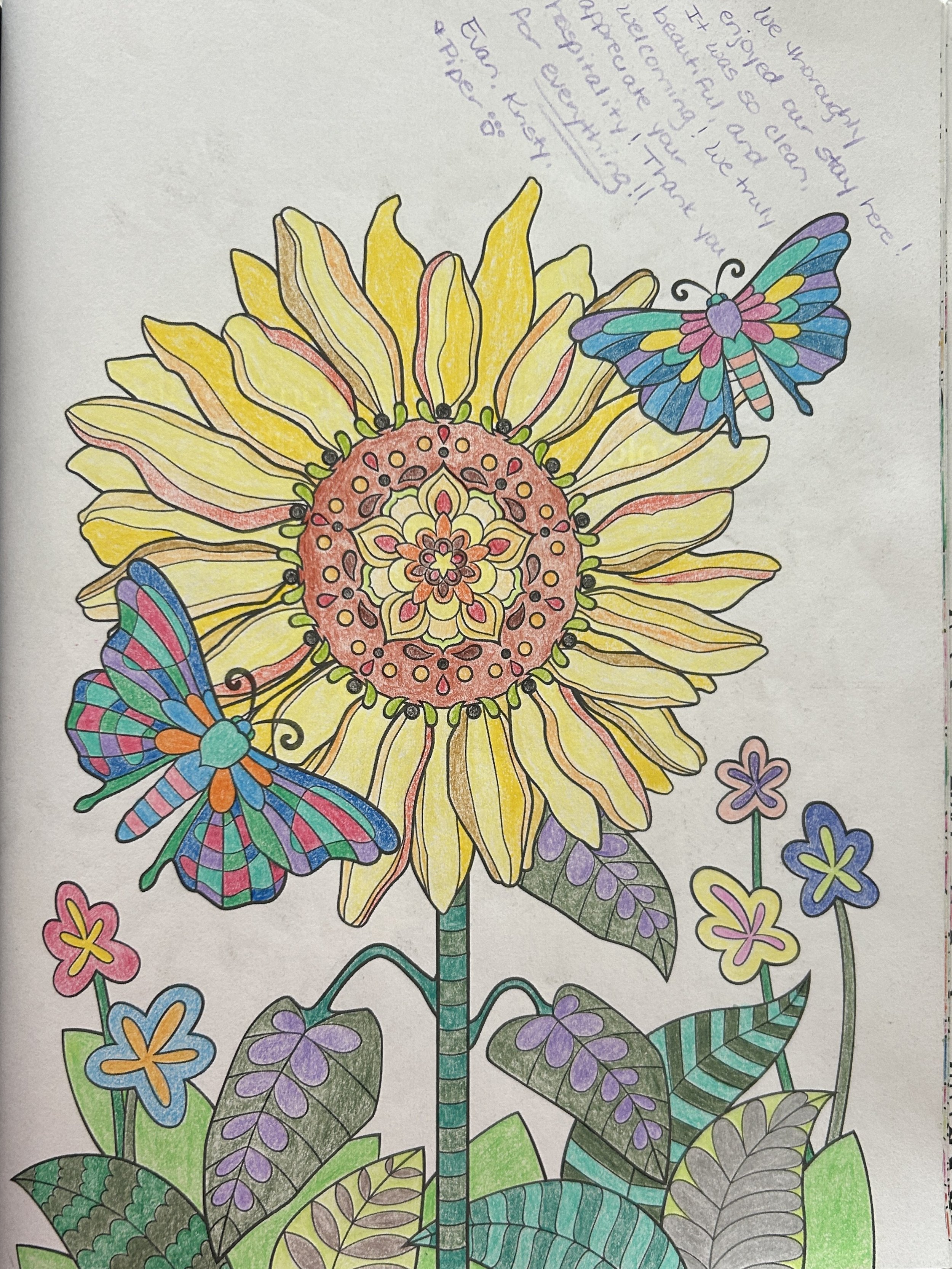 Coloring page featuring a sunflower with yellow petals, decorative patterns, and two colorful butterflies. There are also various smaller flowers and leaves around the sunflower.