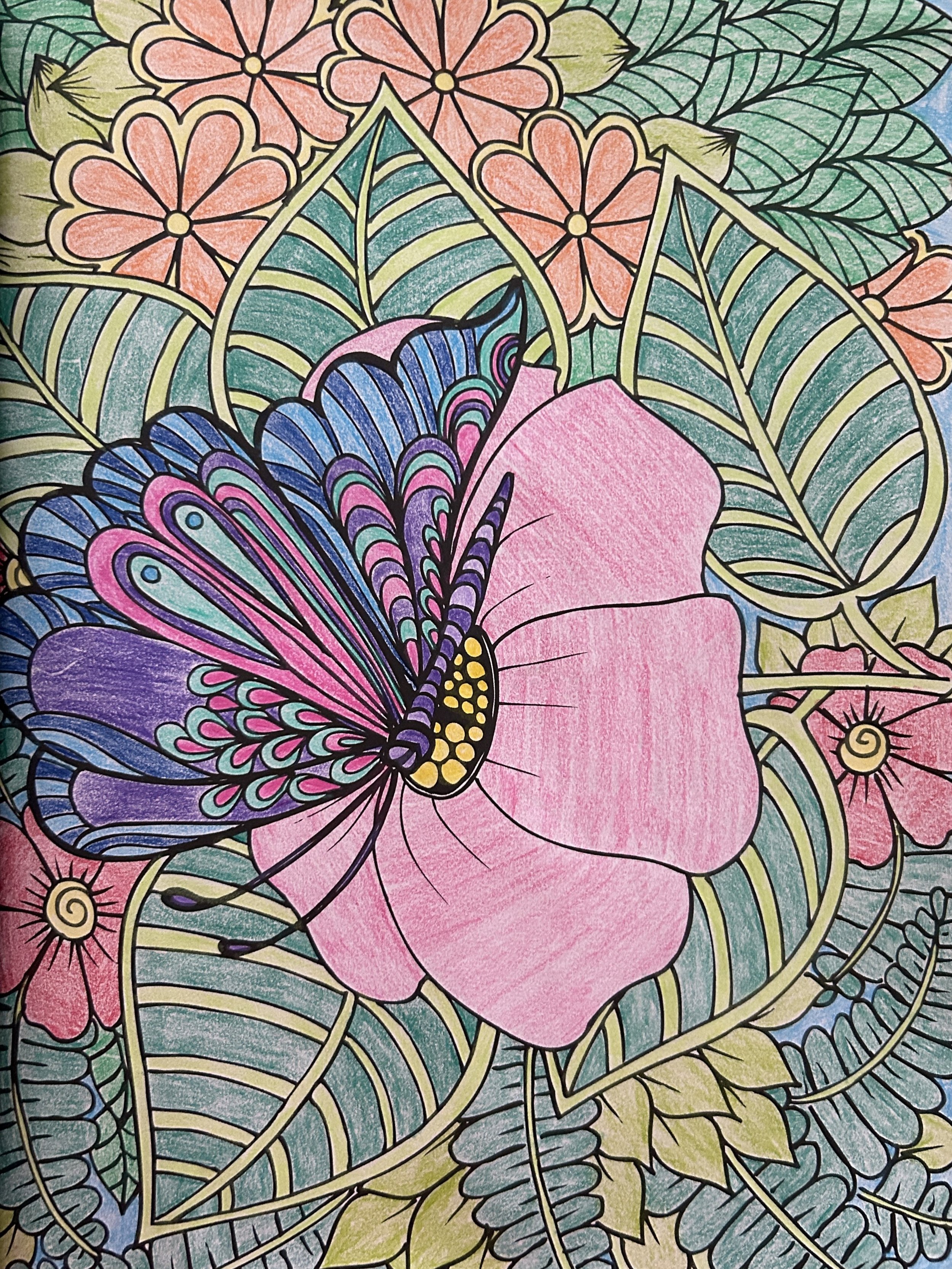 Coloring page featuring a butterfly perched on a pink flower with surrounding flowers and green leaves.