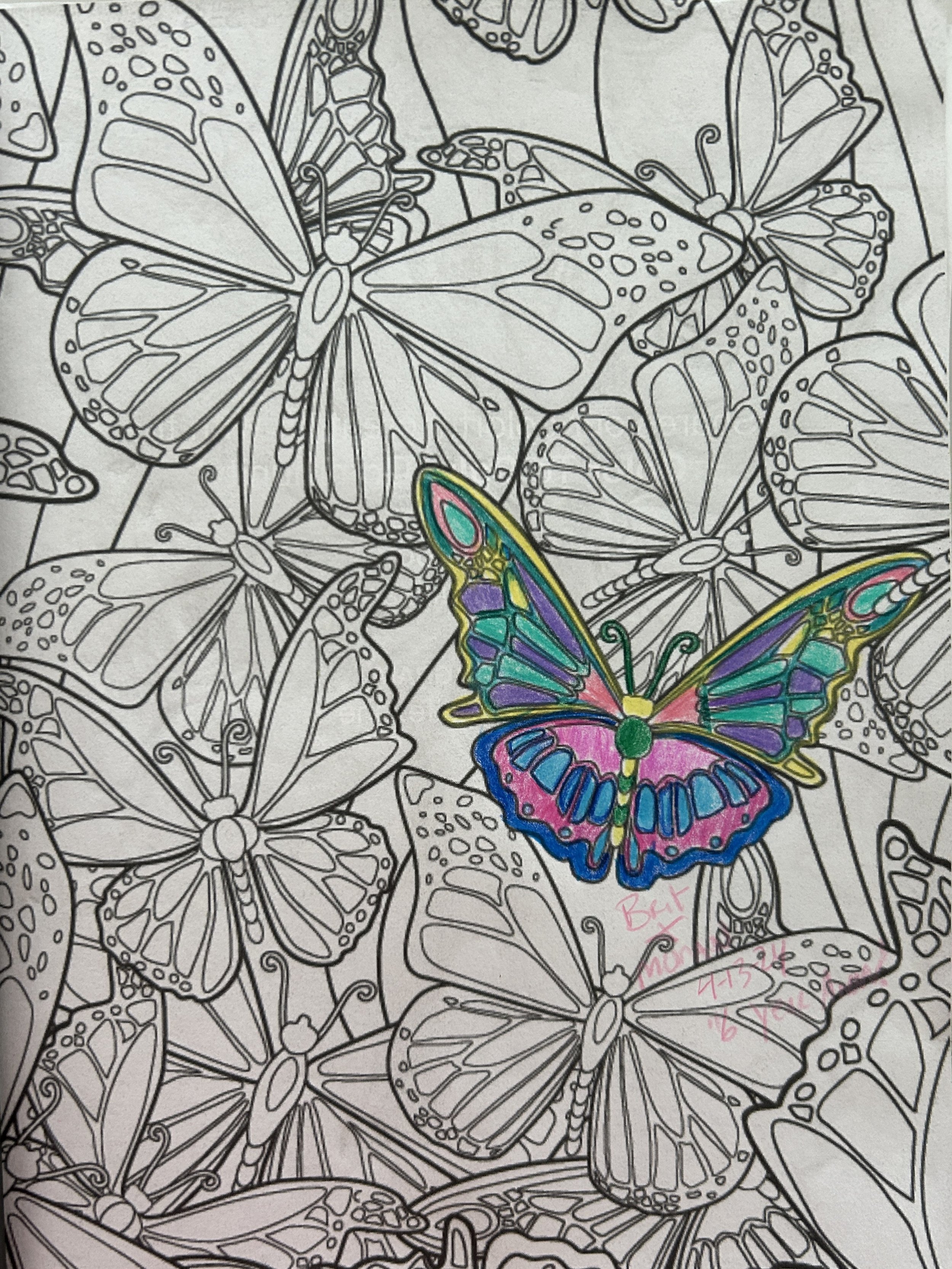 Coloring page featuring various butterflies, with one butterfly being colored in with pink, purple, blue, green, and yellow.