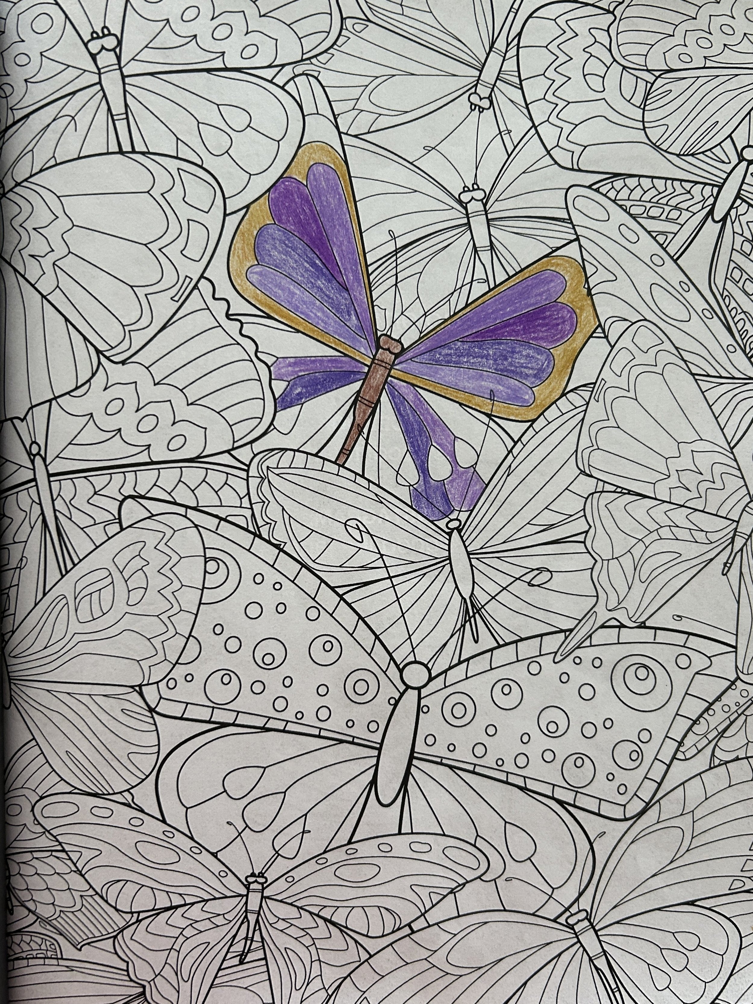 Black and white coloring page filled with numerous butterfly outlines, with one butterfly colored purple and yellow.