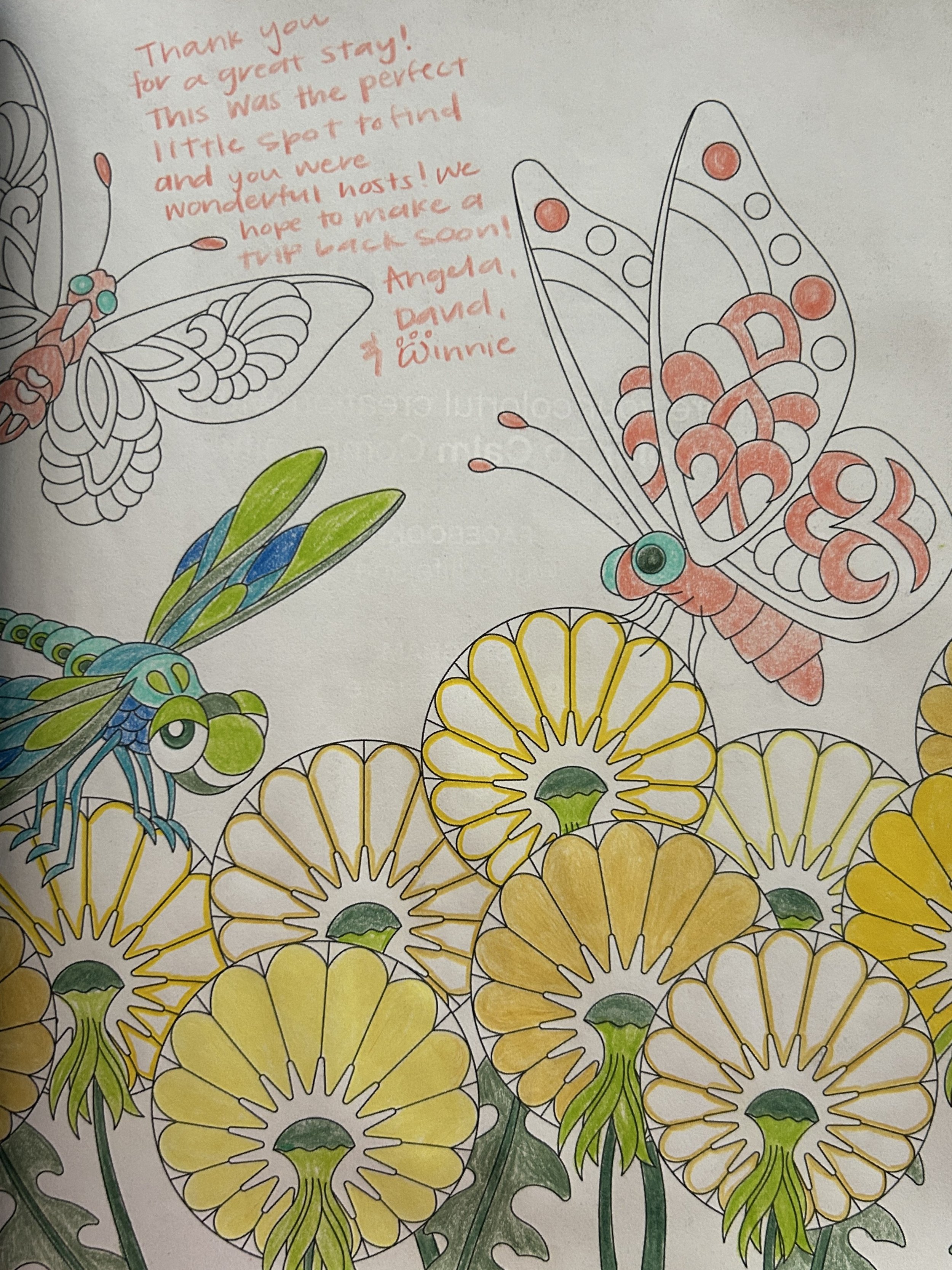 Coloring page featuring illustrations of butterflies, a dragonfly, and yellow flowers, along with a handwritten thank you note in red ink.