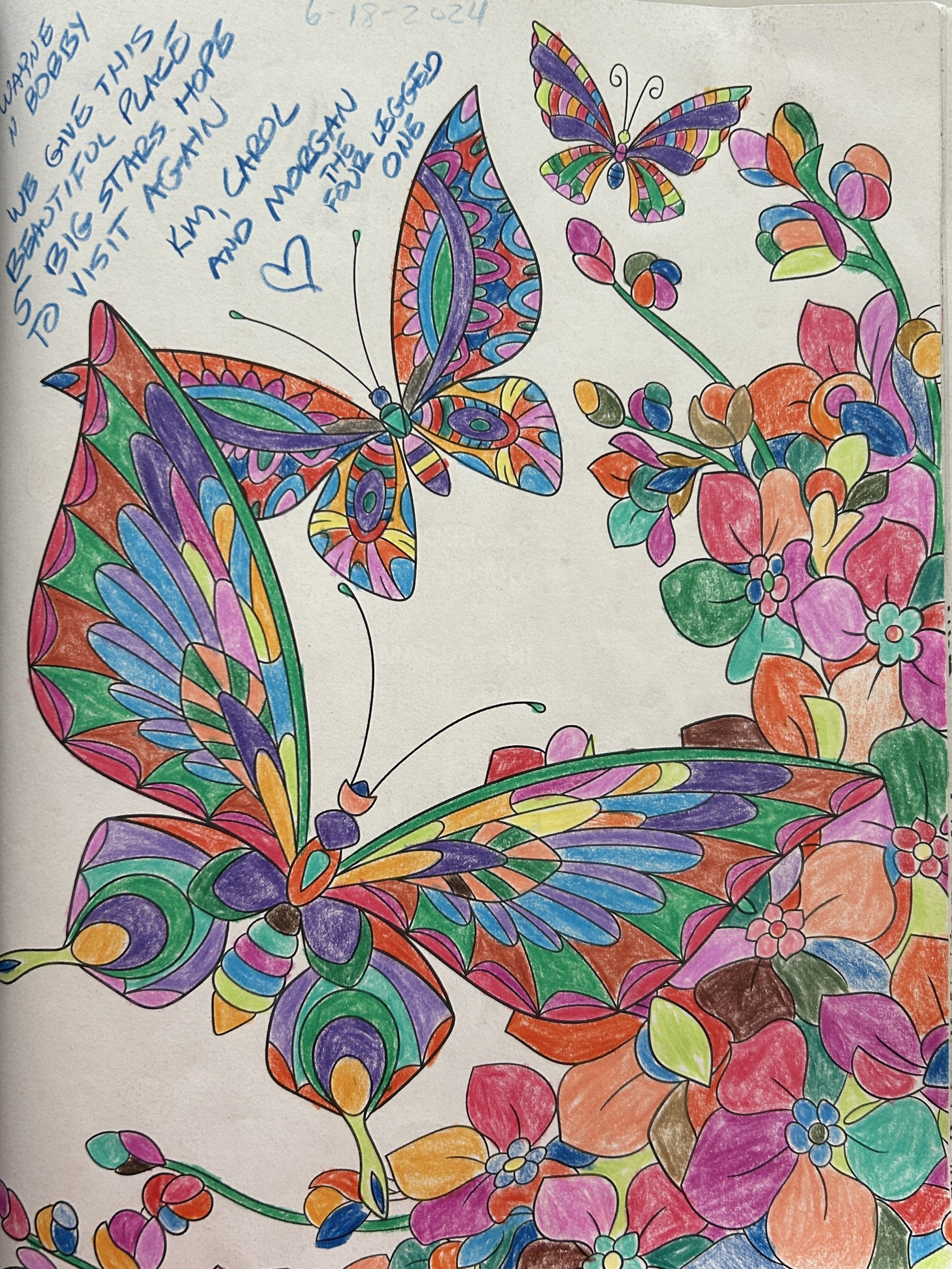 Coloring page featuring brightly colored butterflies and flowers, with handwritten note in blue ink in the top left corner that reads: 'We gave this beautiful stage to visit again and again, and through'.
