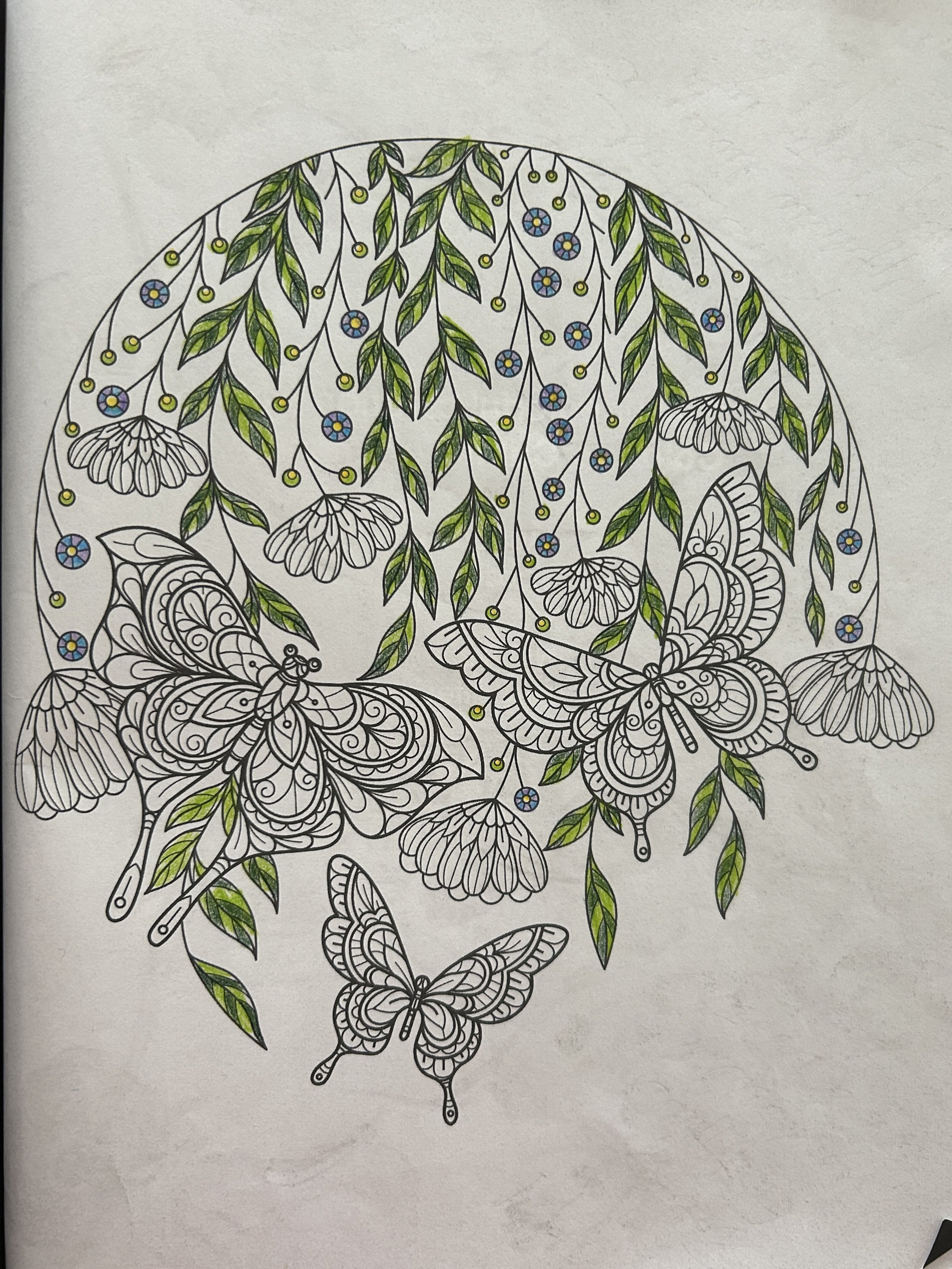 Coloring page featuring butterflies and hanging leaves with small flowers, some sections partially colored green and blue.