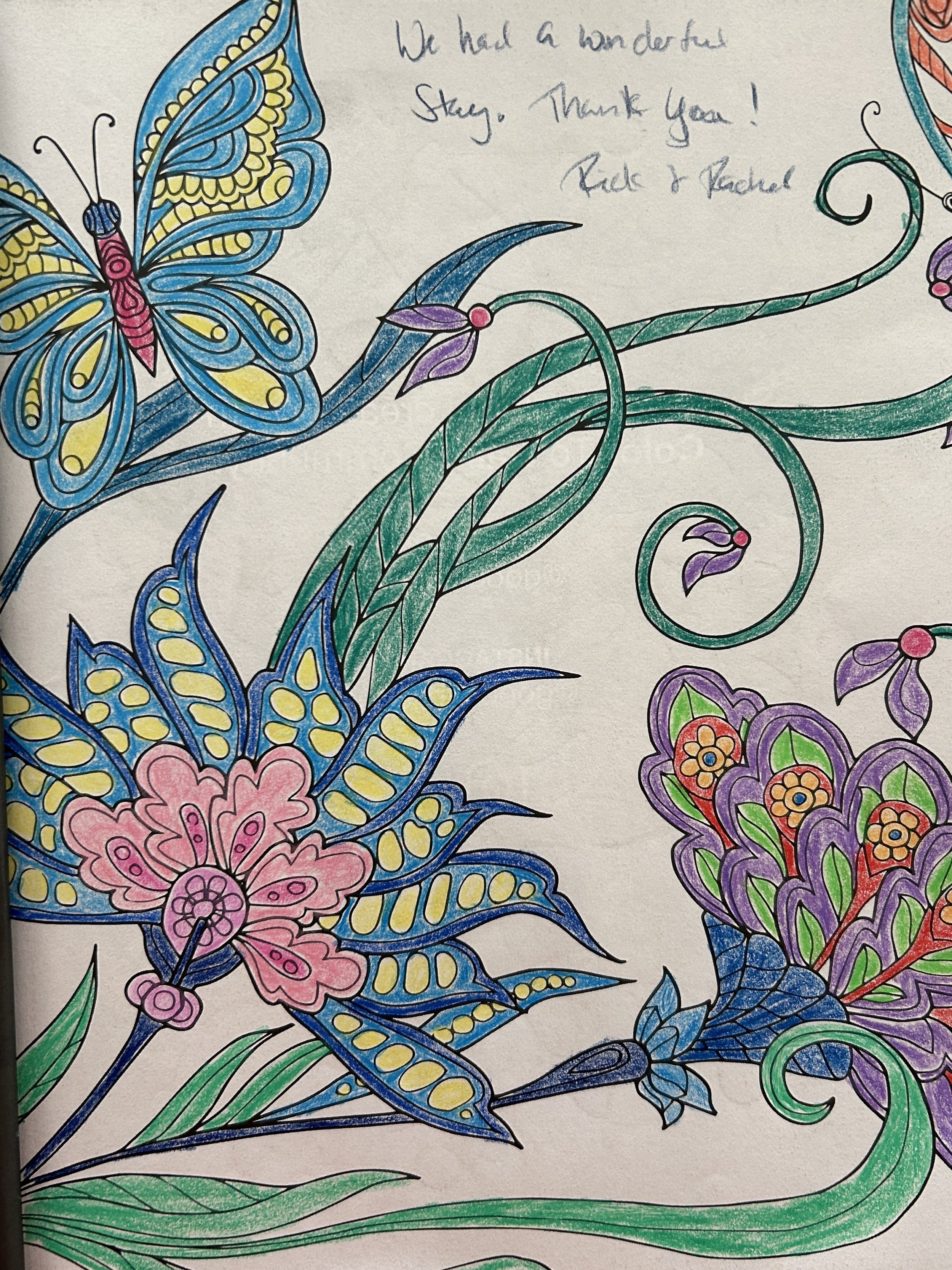 Coloring page featuring large blue and yellow butterflies, pink flowers, and purple and green foliage. Handwritten note in top right corner wishing a wonderful stay, signed by Rachele and Rachel.