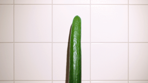 GIF_desktop_work_work-letstalkaboutsex_BodyE-cucumber_500x281.gif