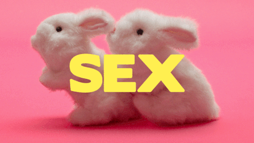 GIF_desktop_work_work-letstalkaboutsex_BodyB-bunnies_500x281.gif