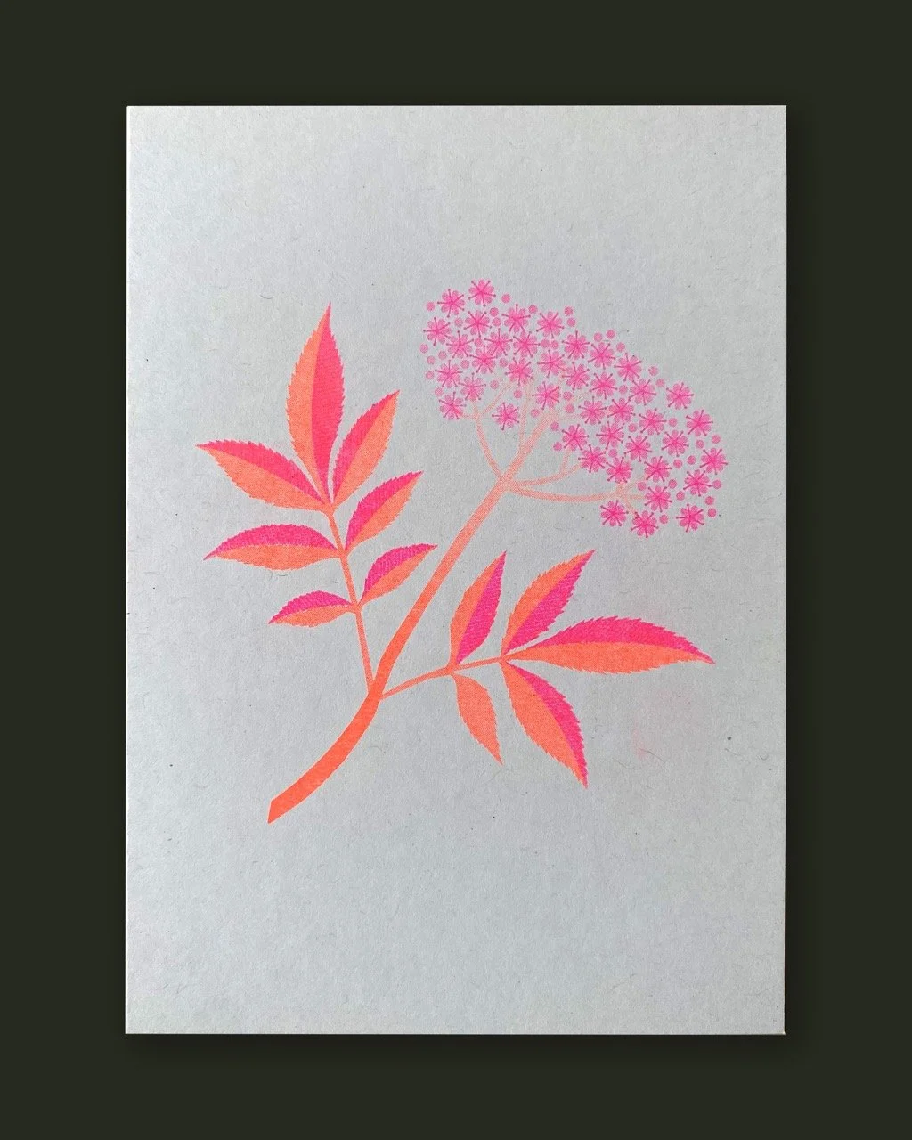 Postcards-mockup_elder Large.jpeg