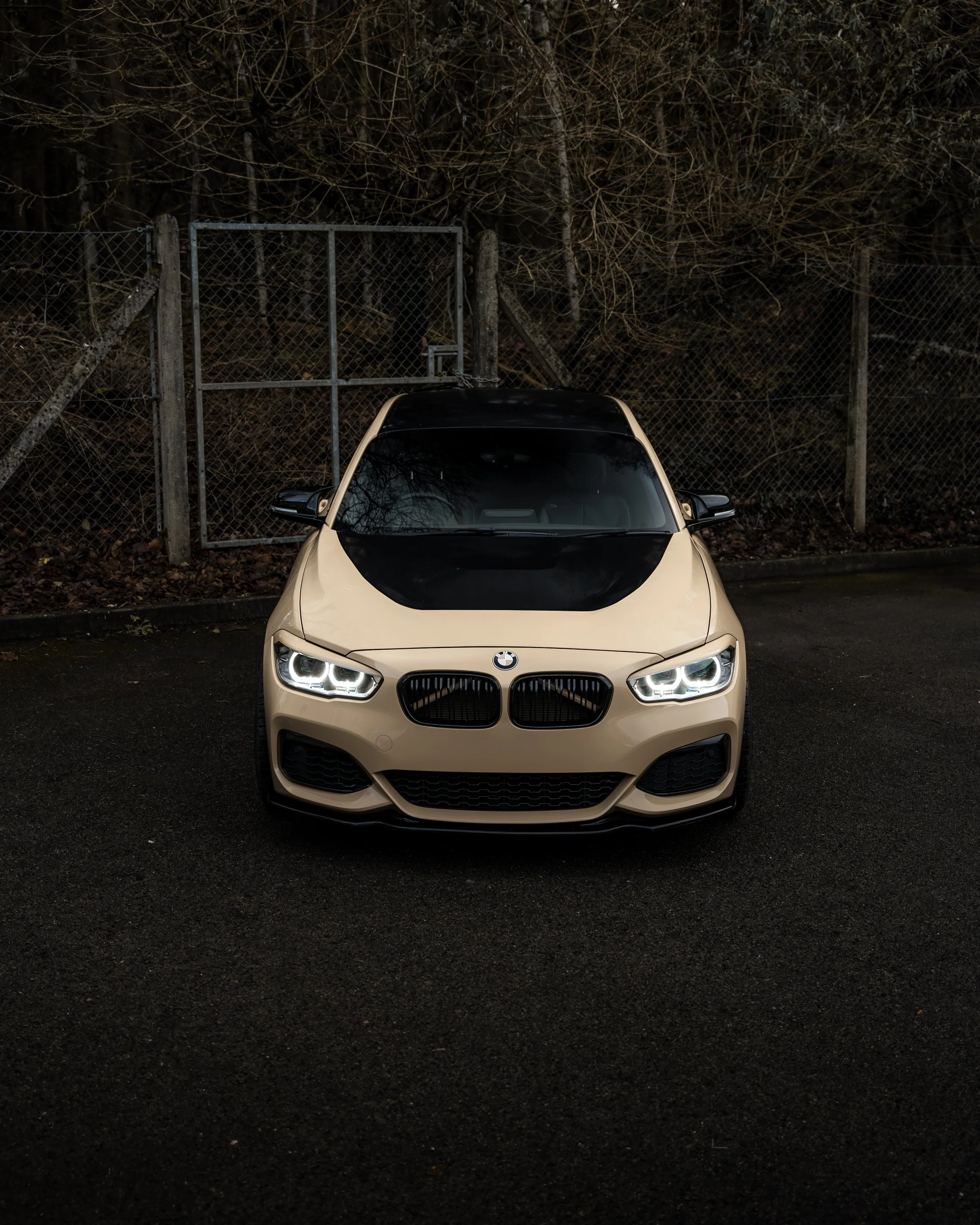 m140i -100.JPEG