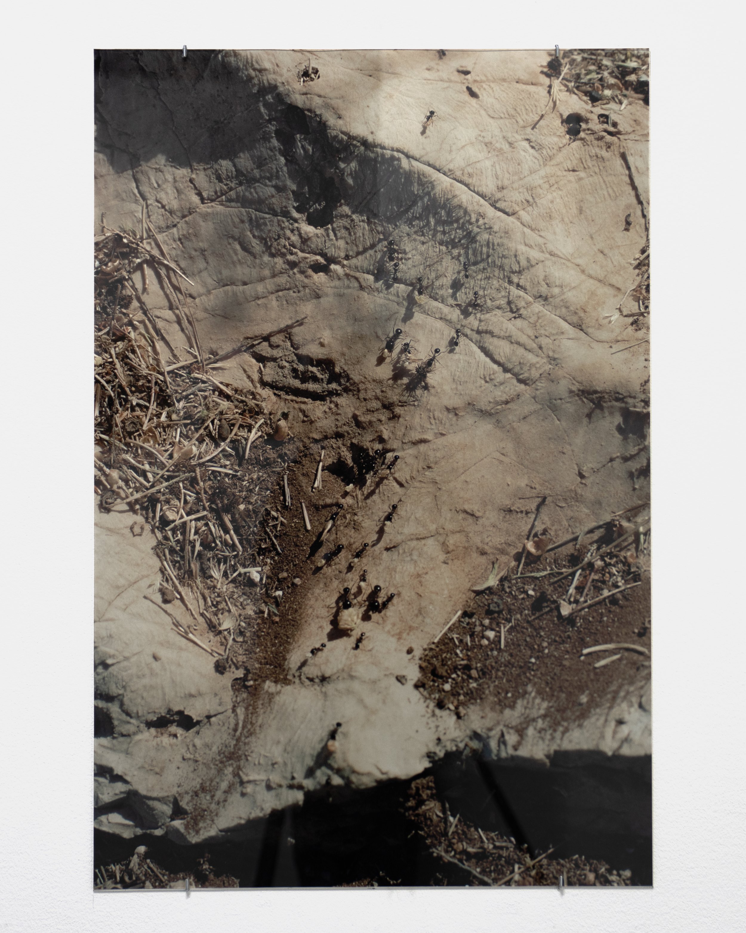 And it was in this world that I saw glimpses of another (installation view), April 17 - May 2 2026,   KHM 1 Gallery, Malmö, Sweden