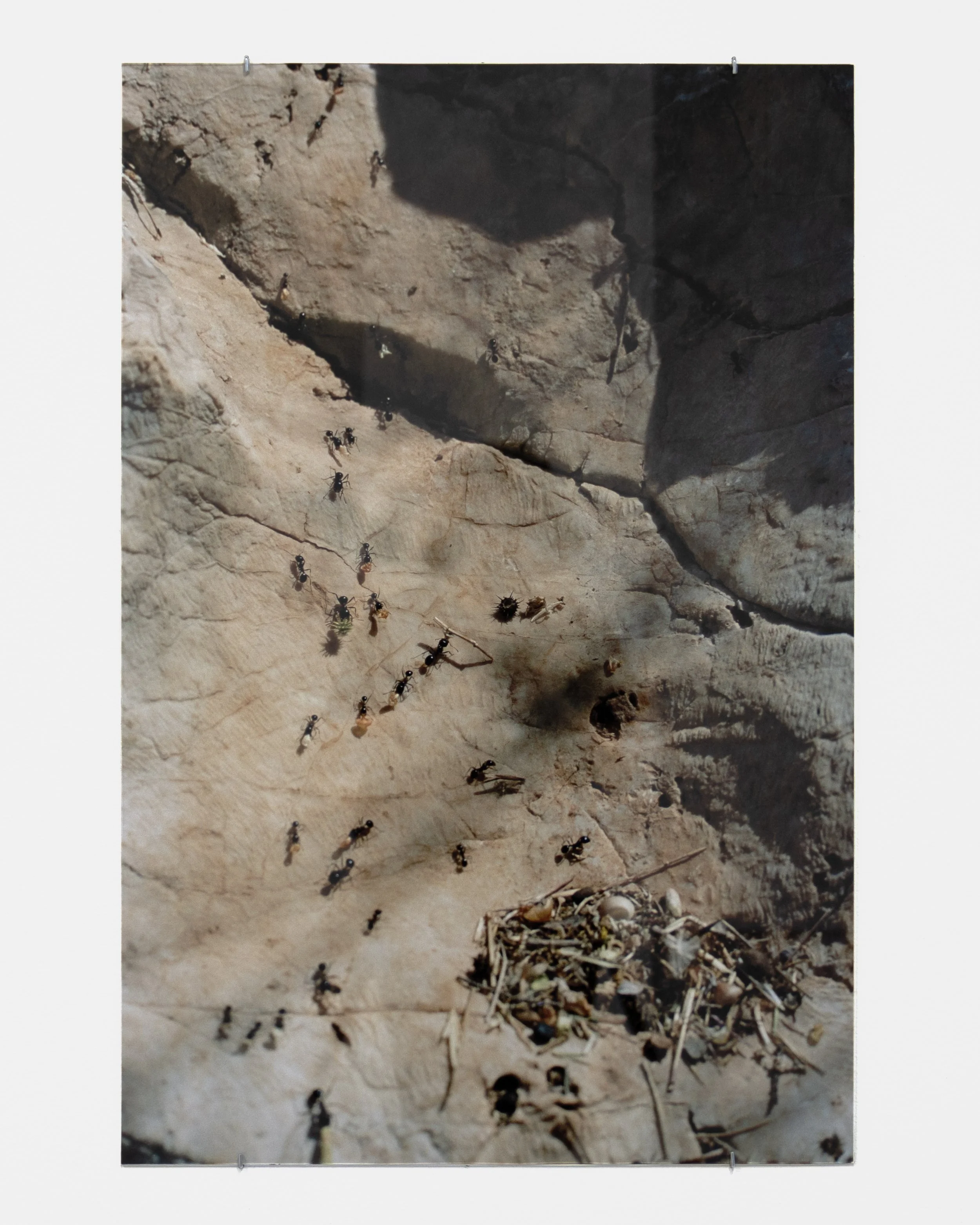 And it was in this world that I saw glimpses of another (installation view), April 17 - May 2 2026,   KHM 1 Gallery, Malmö, Sweden