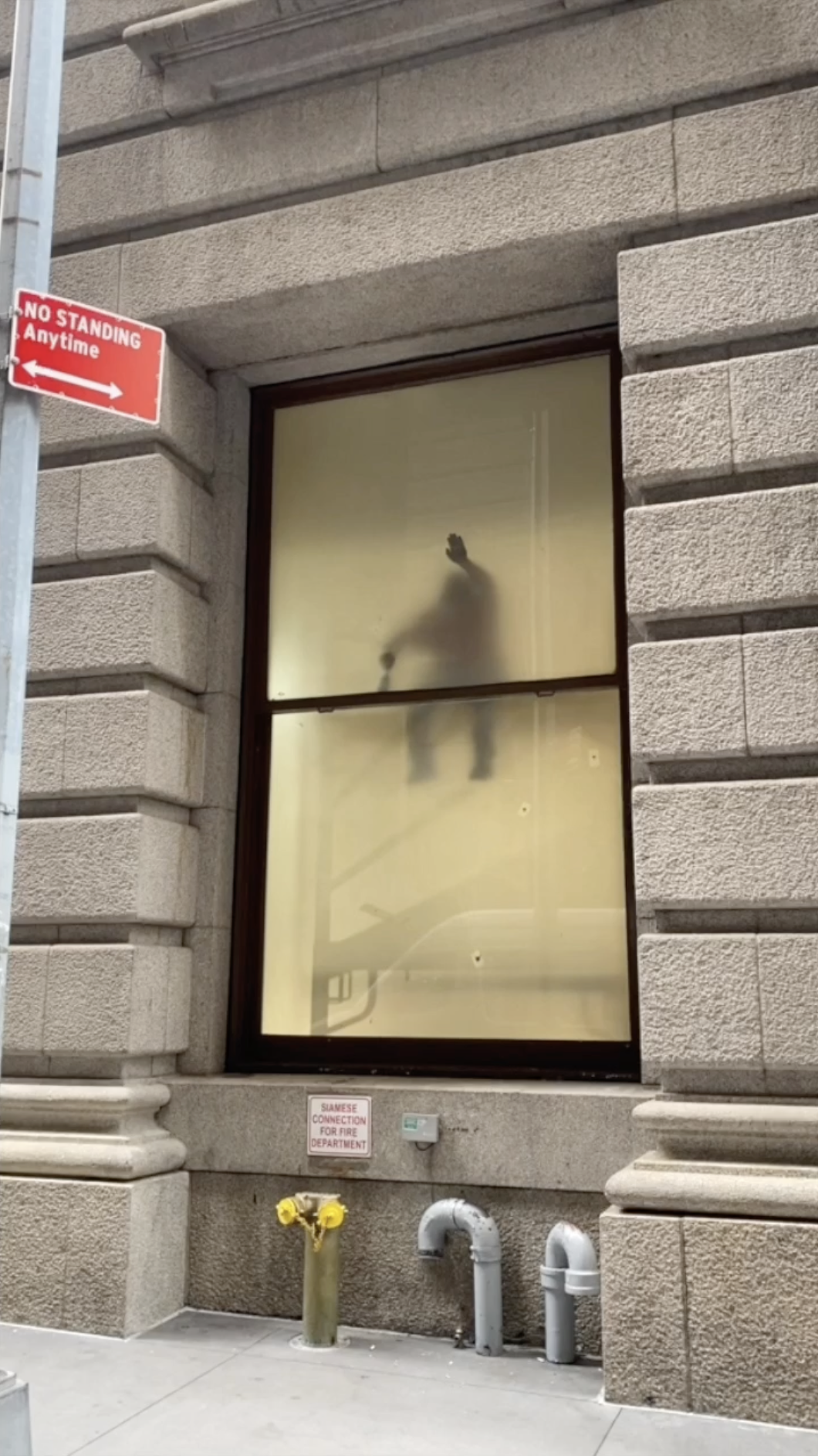 Revelations (ongoing), 2020 - , video still (2024), 2:00min, cellphone video footage, vellum paper