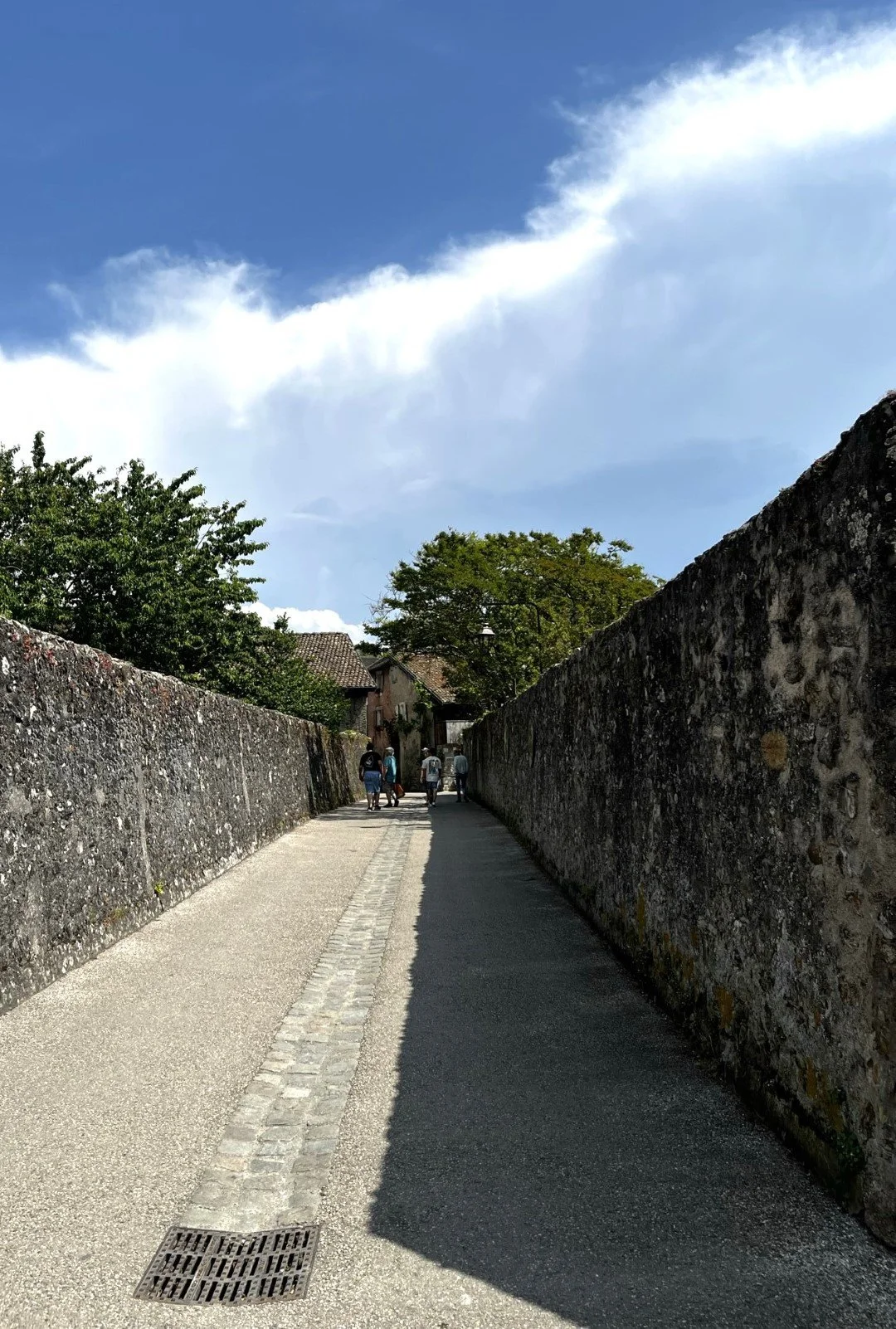 IMG_9687 (Large).JPEG