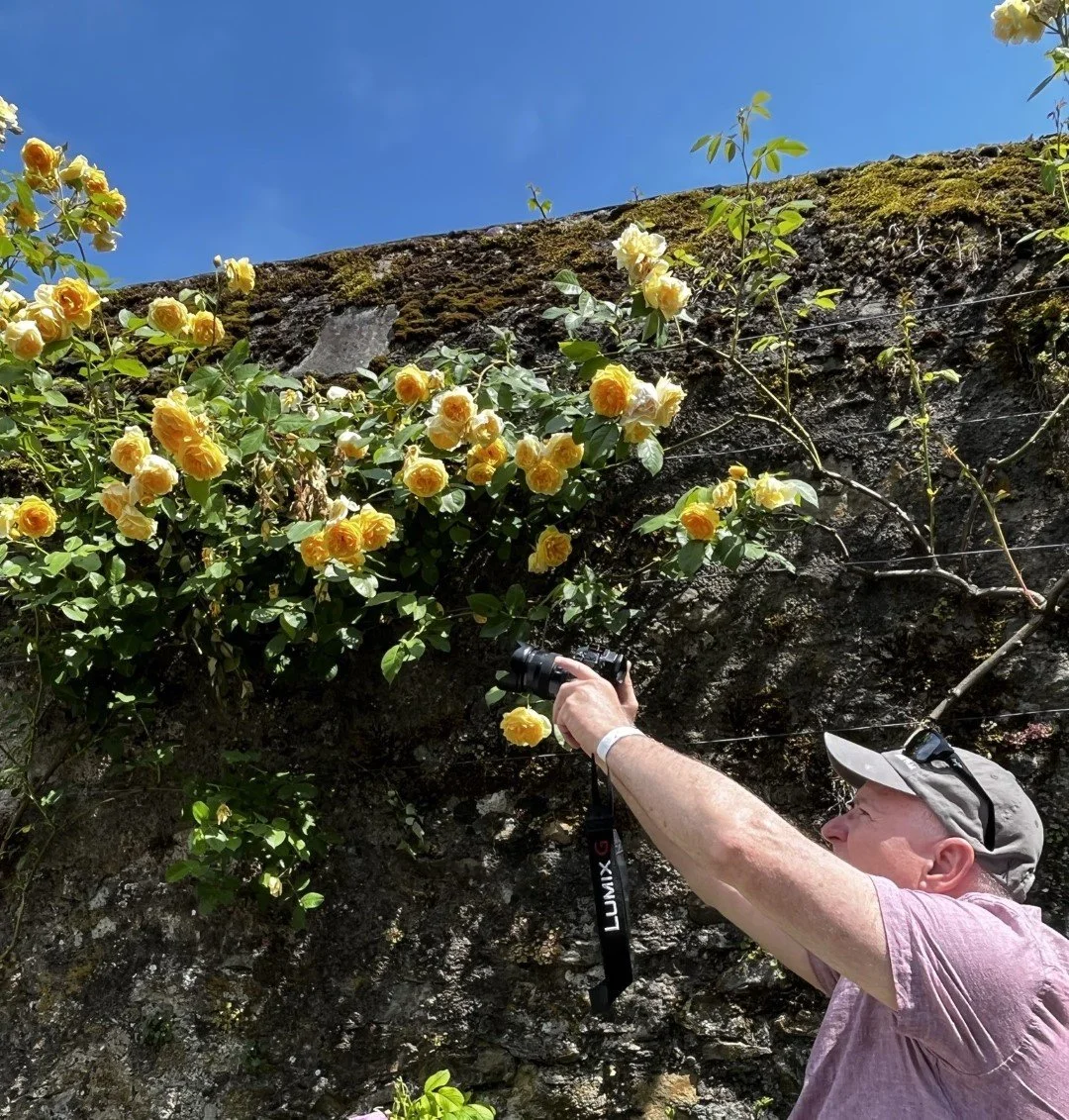 IMG_9685 (Large).JPEG