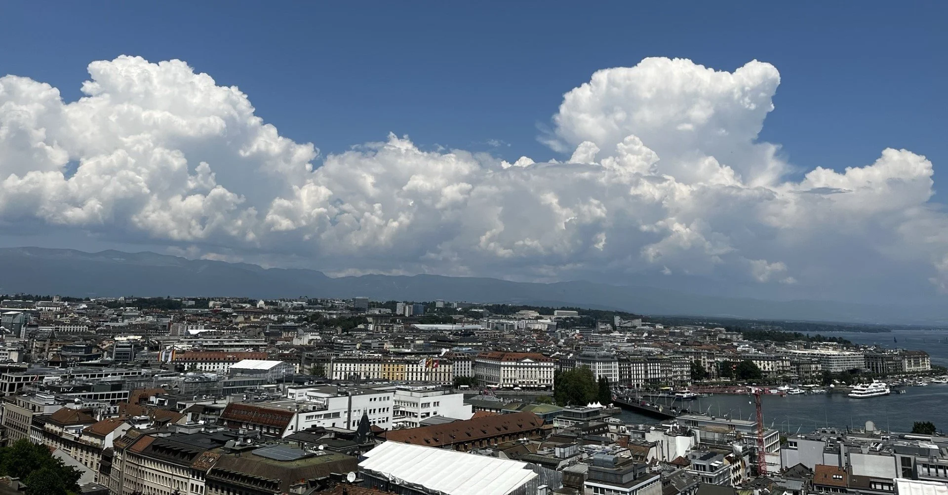 IMG_9611 (Large).JPEG