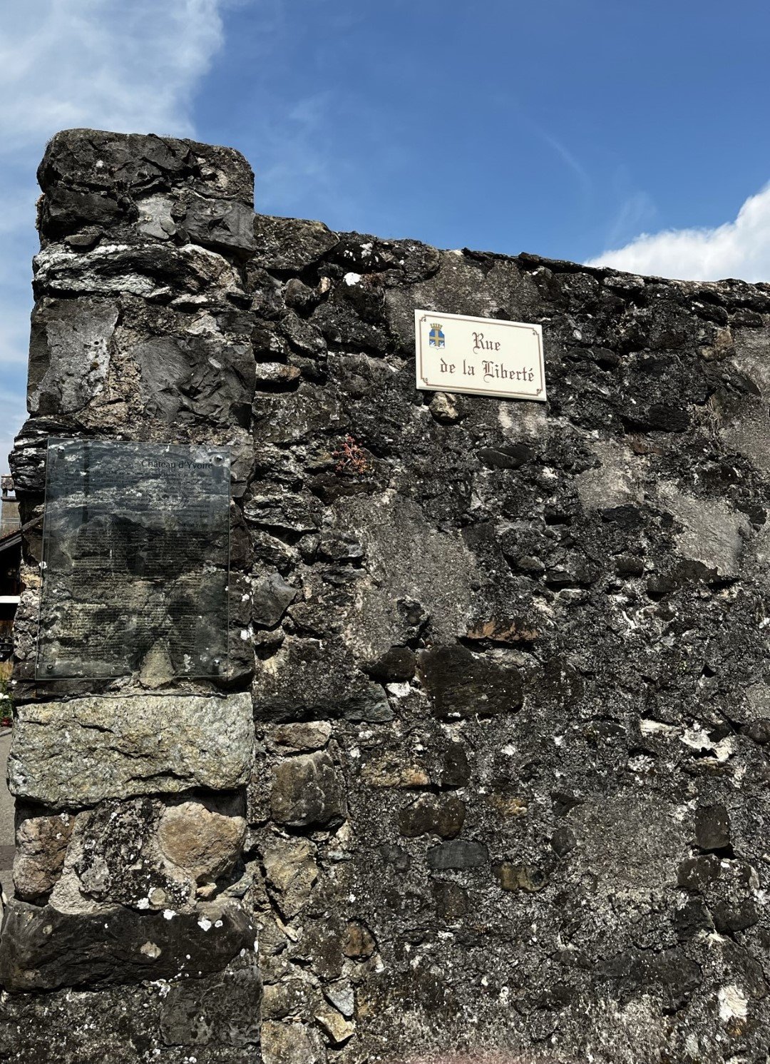 IMG_9686 (Large).JPEG