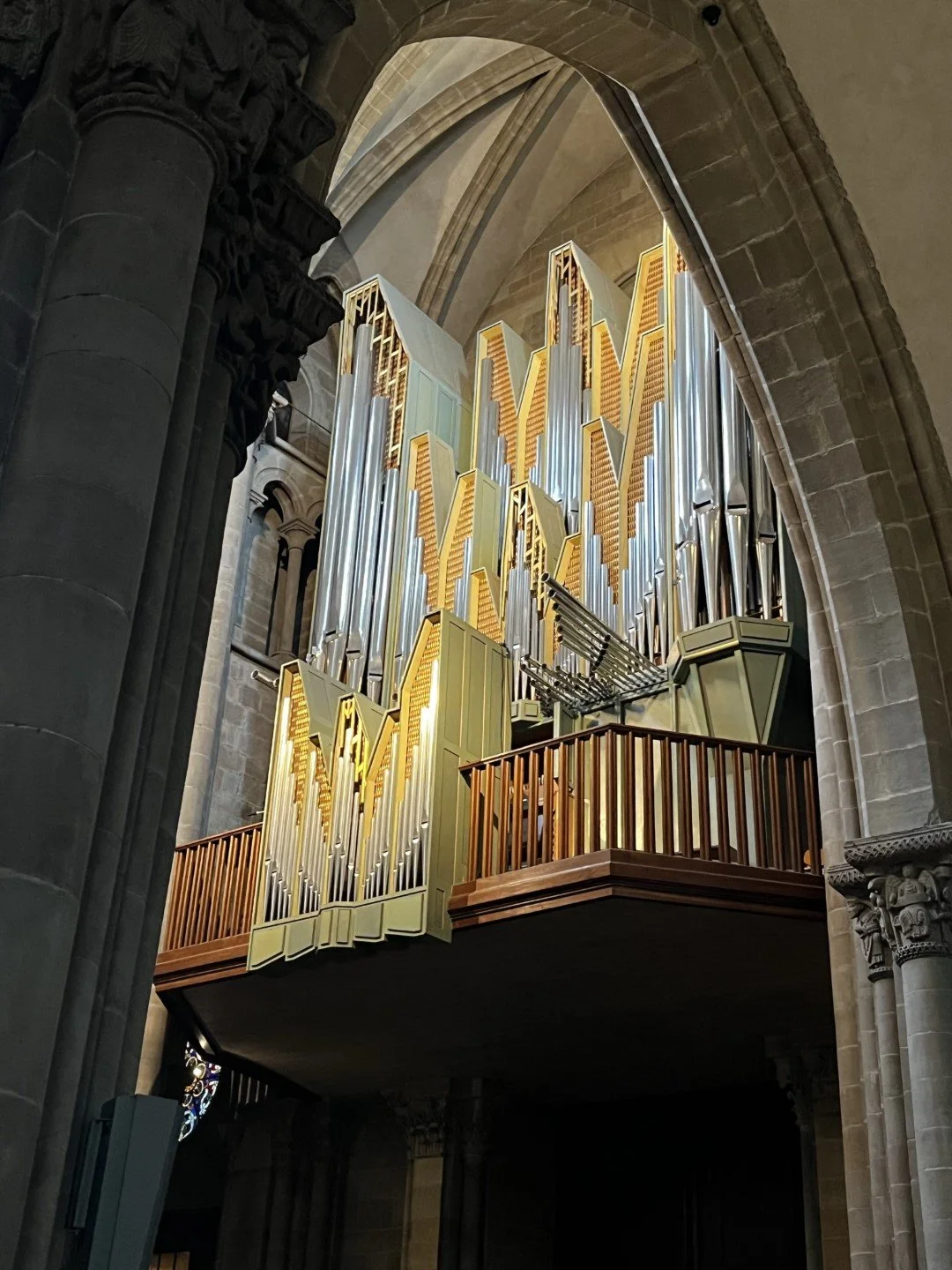 IMG_9585 (Large).JPEG