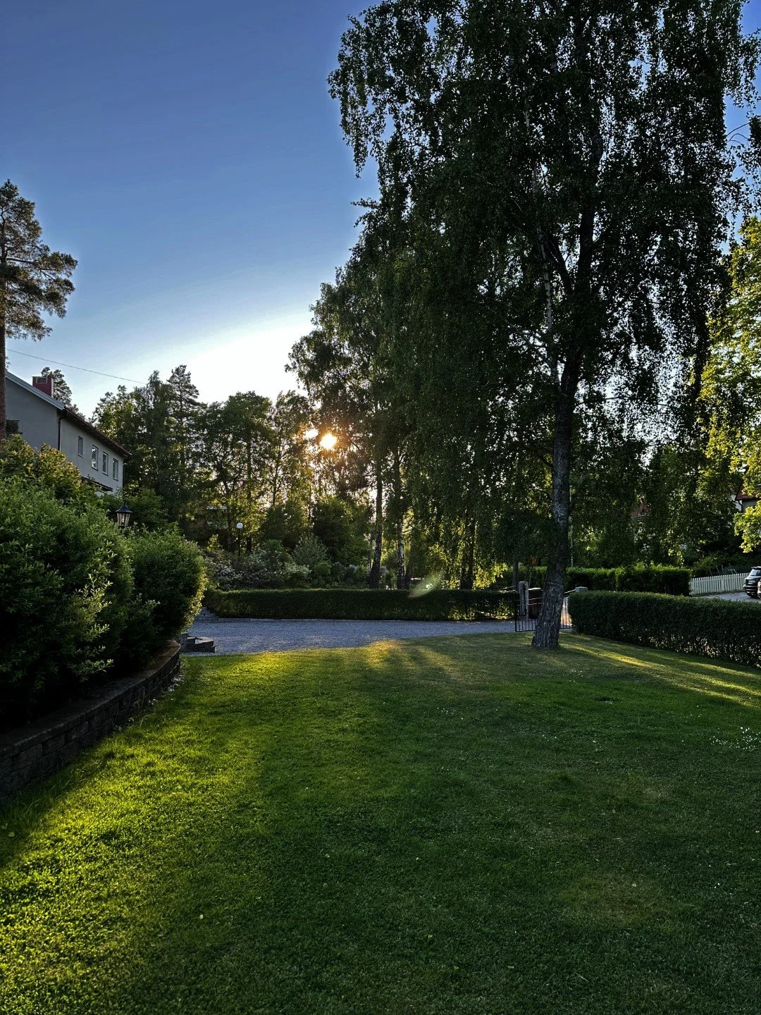 2 Swede BNB Yard.JPG