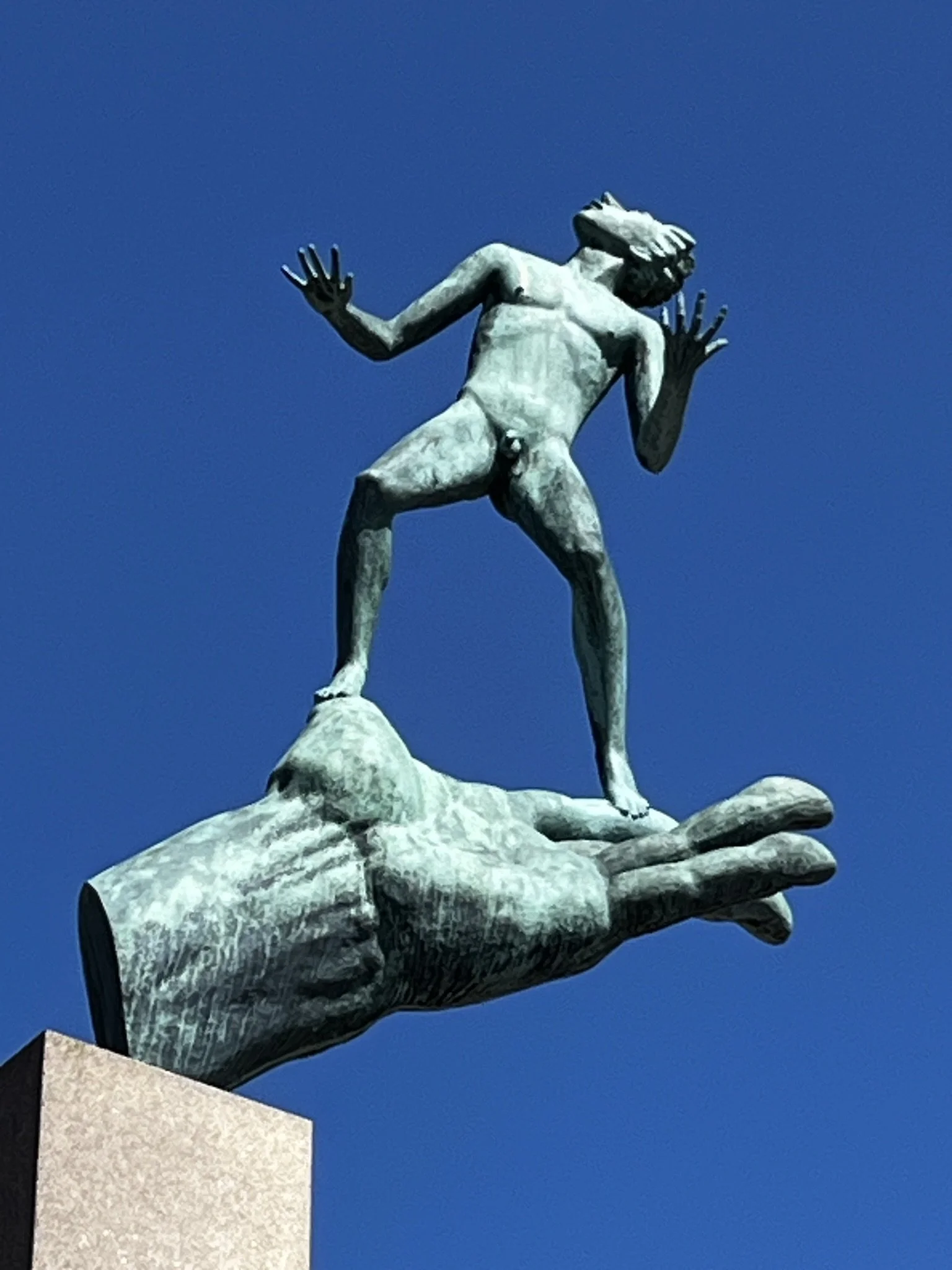 6.11 Milles Garden Hand in Sun.JPEG