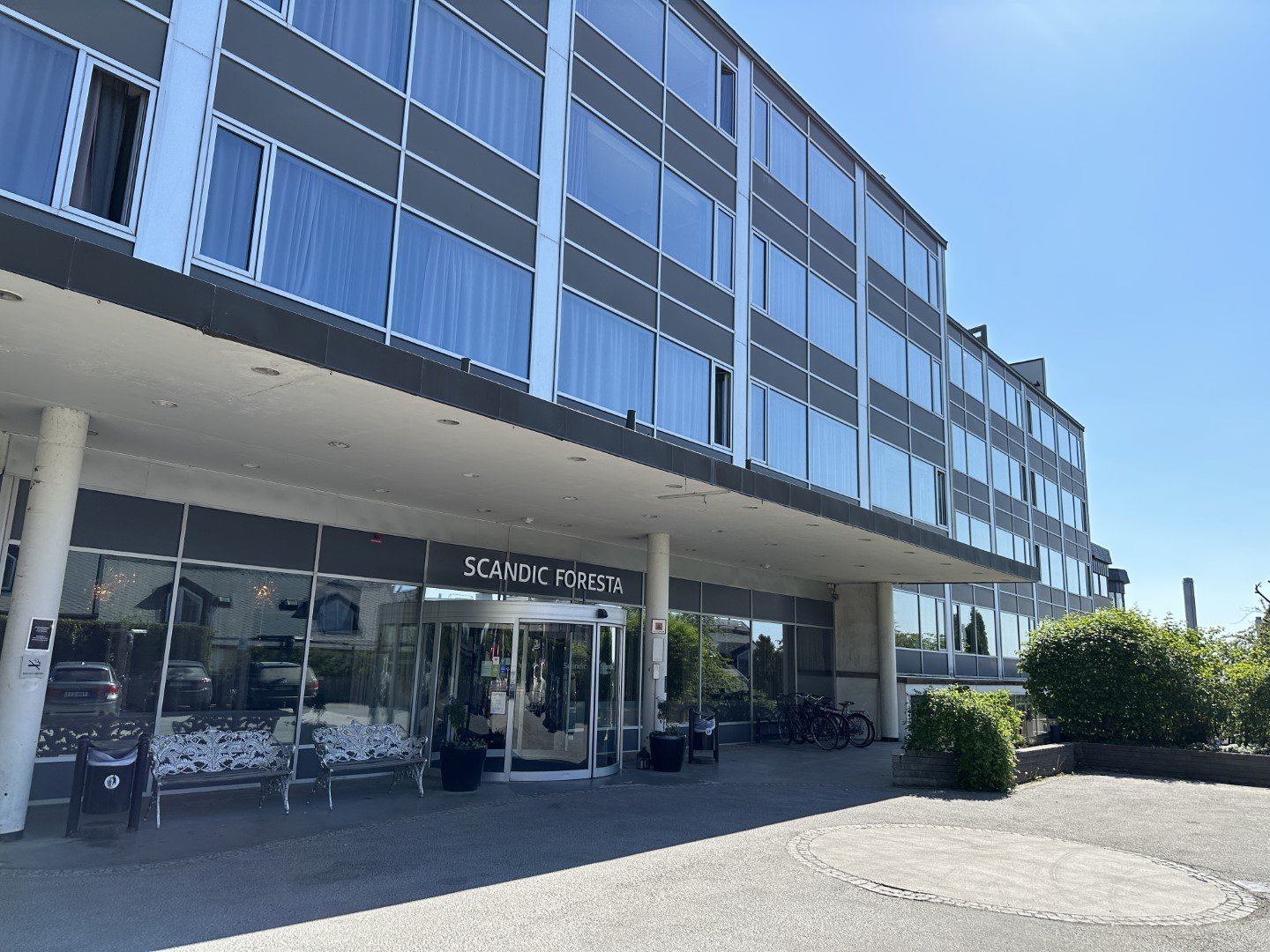 Foresta6 (Large).JPG