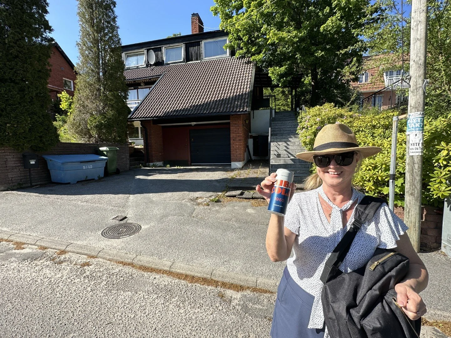 6.11 Sweden House No22 (Large).JPEG