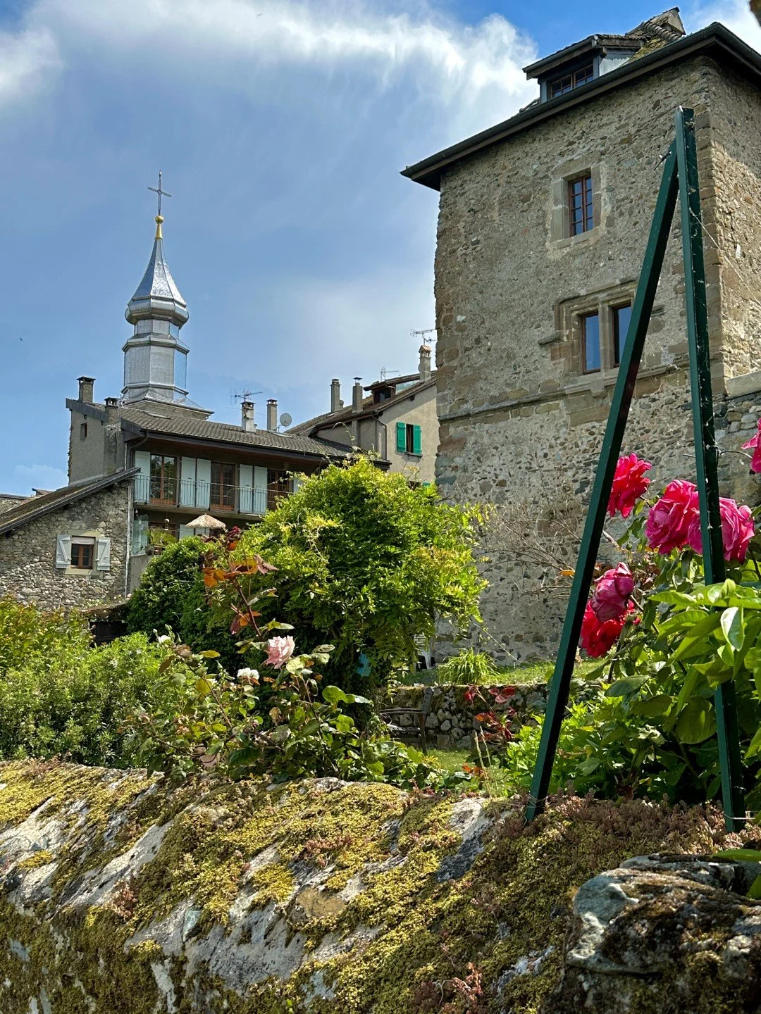 0604 Geneva Castle (Large).JPEG