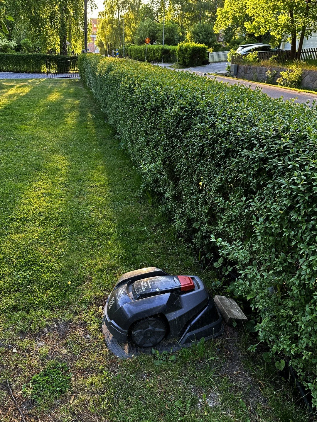 2 Swede BNB Yard Mower.JPG