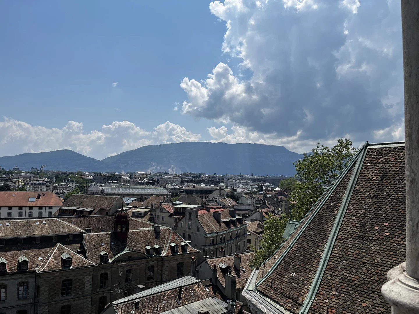 IMG_9607 (Large).JPEG