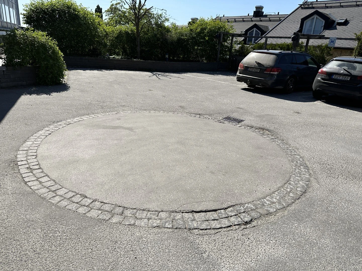 Foresta7 (Large).JPG