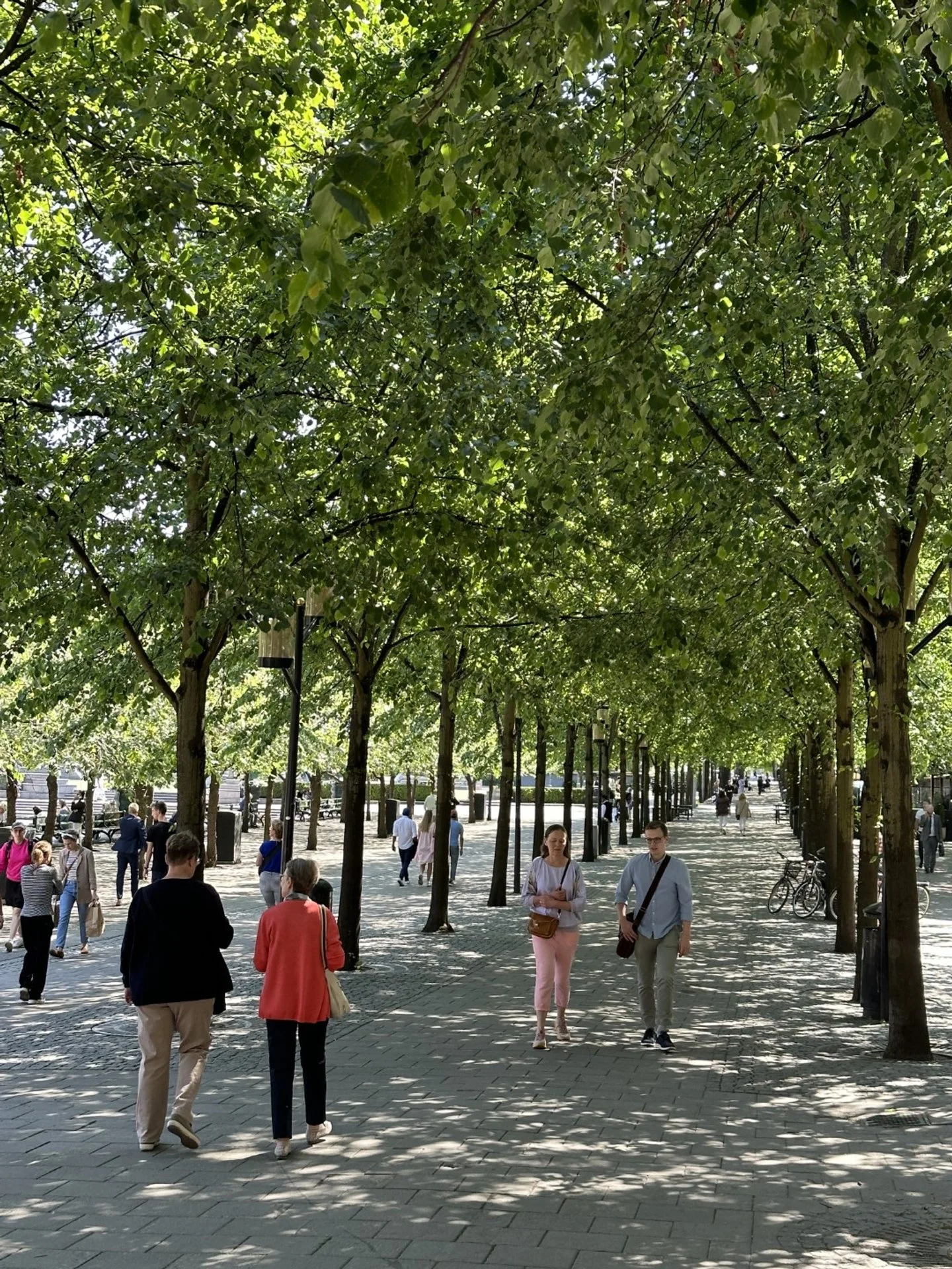 Kungstragarden, where they ice 
skate in winter