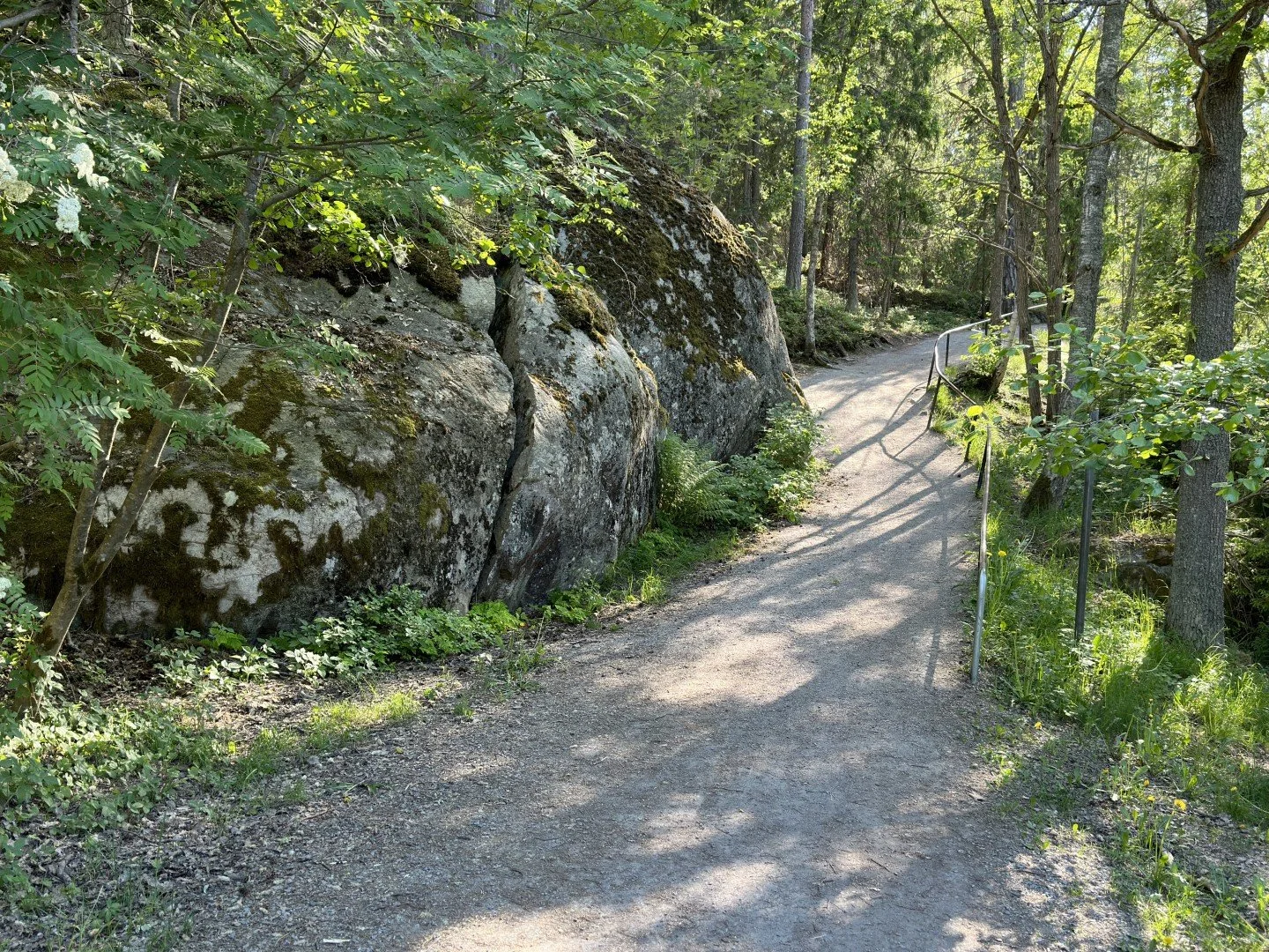 Kottla3 (Large).JPEG