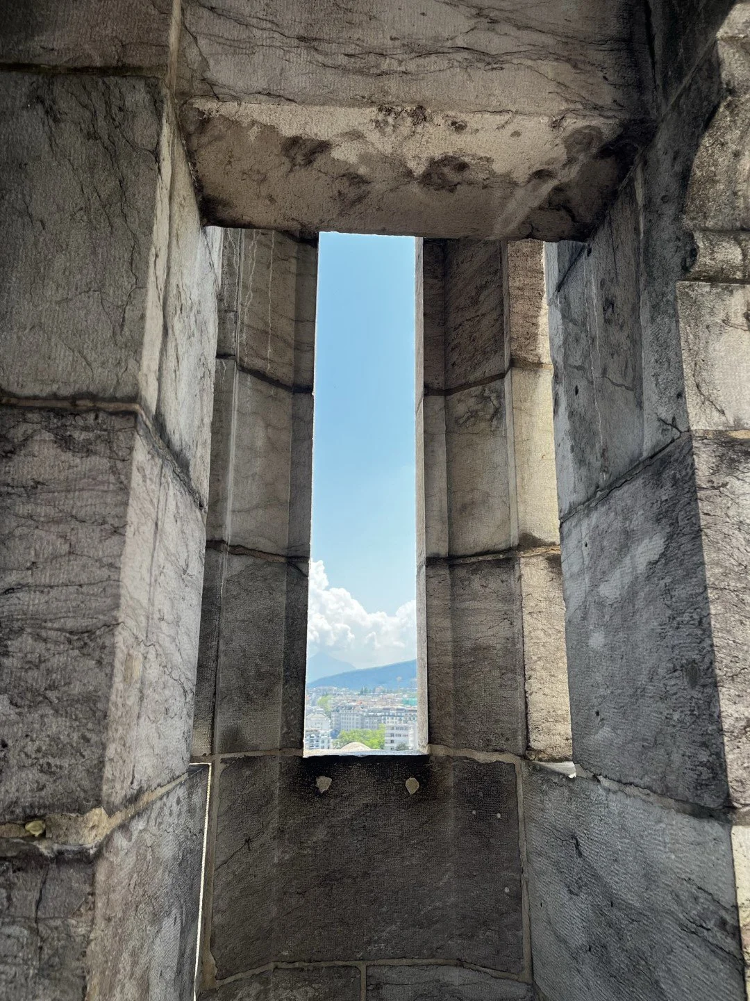 IMG_9609 (Large).JPEG