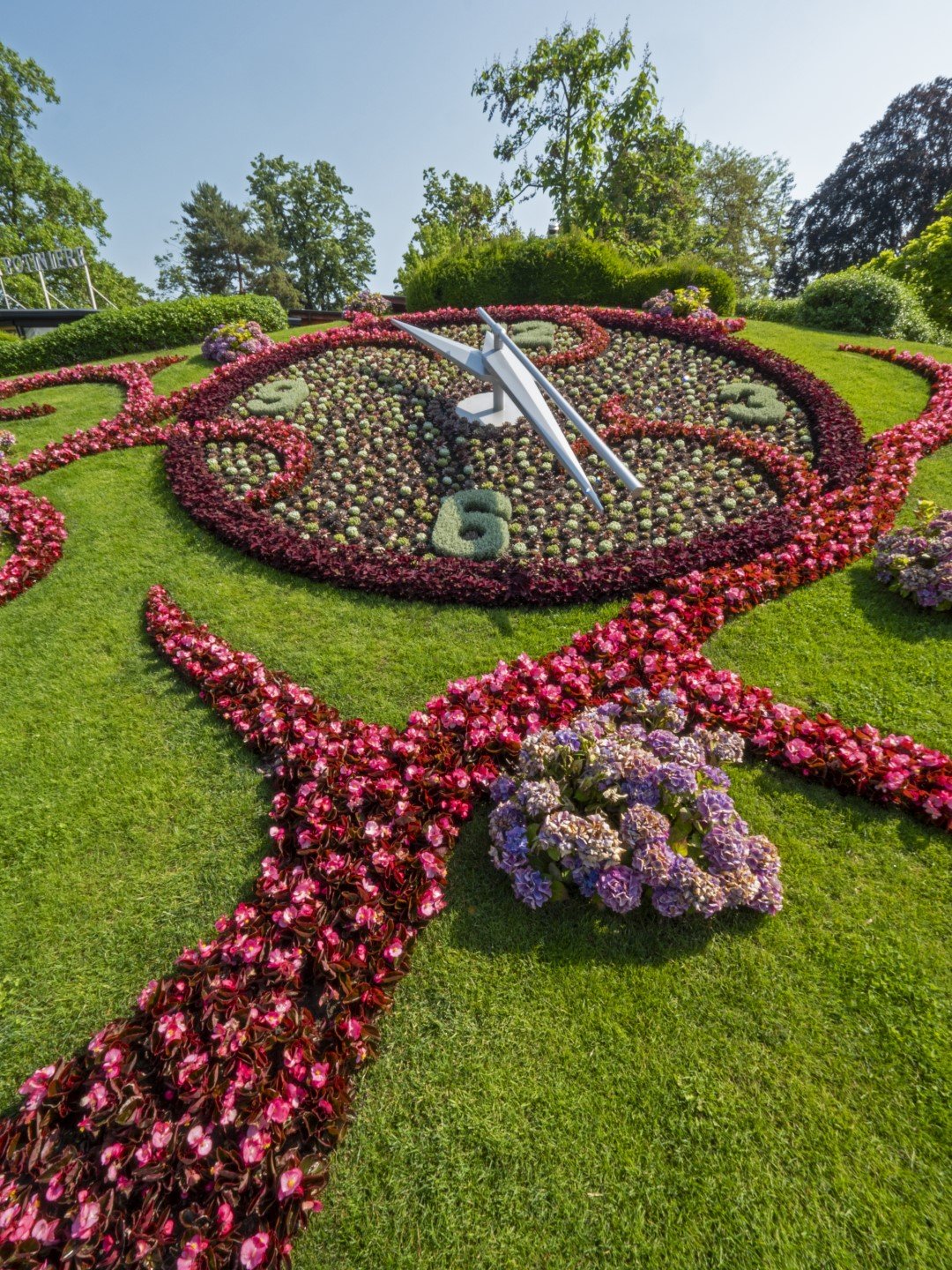 Floral Clock vertical (Large).jpg