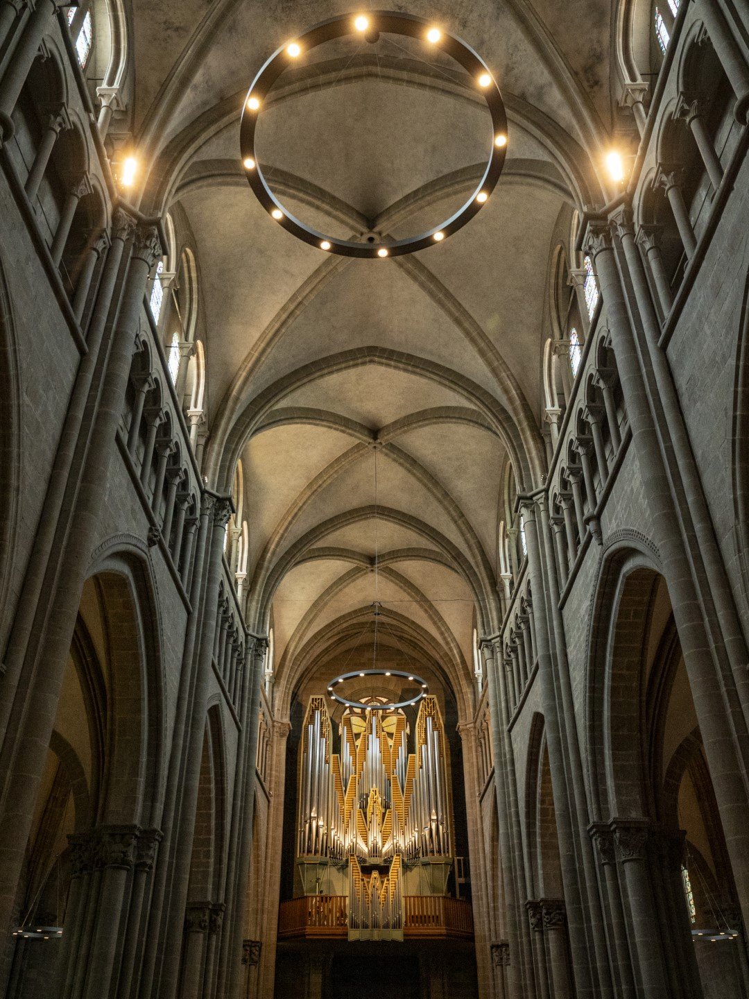 St. Pierre_Organ_ceiling (Large).jpg