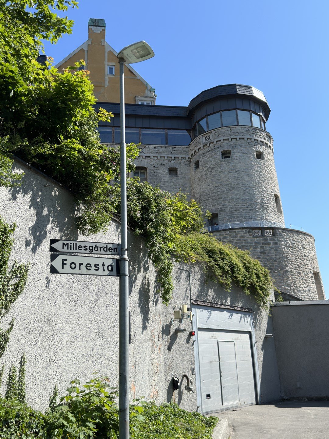 Foresta2 (Large).JPEG