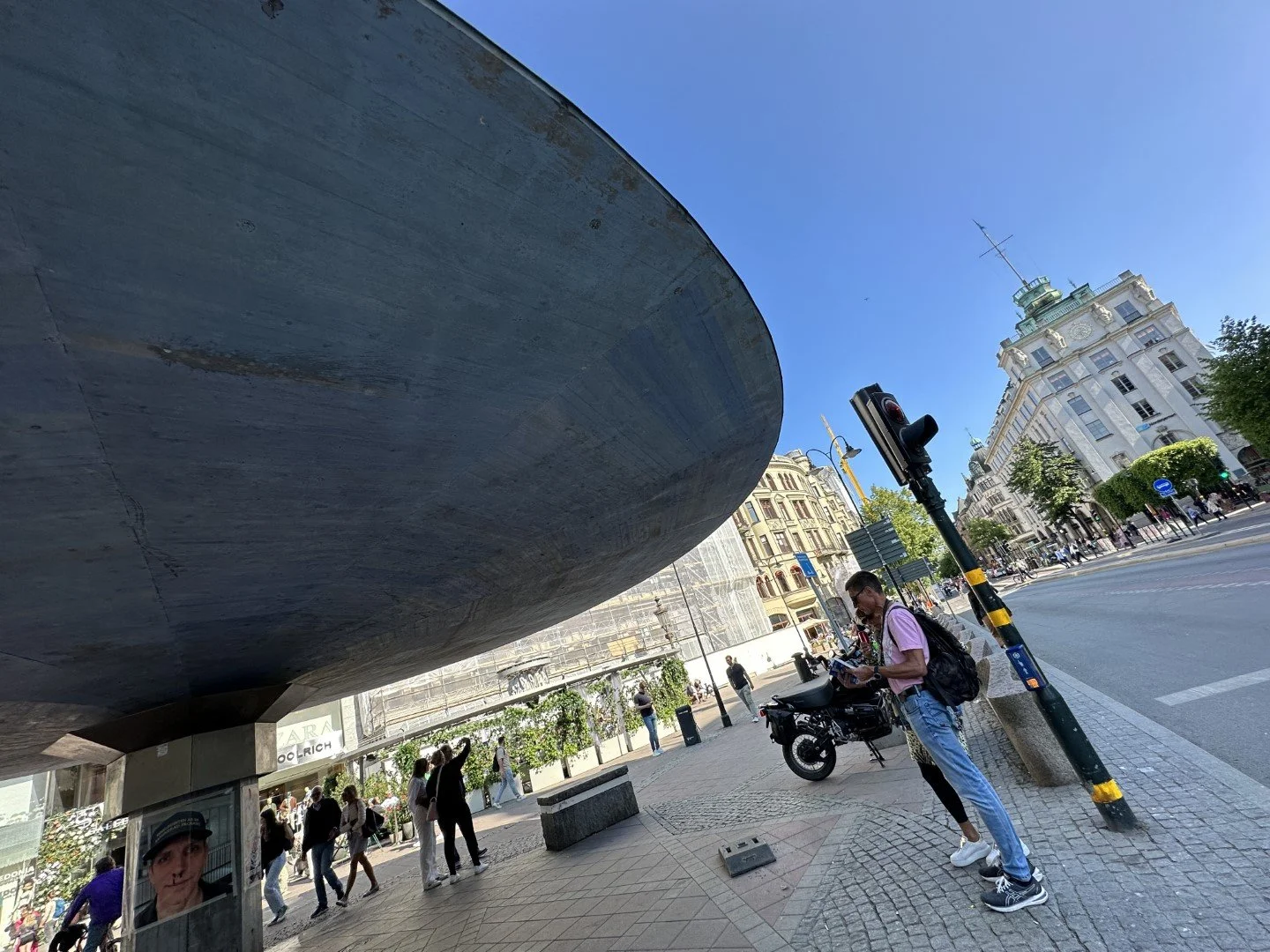 Mushroom (Large).JPG