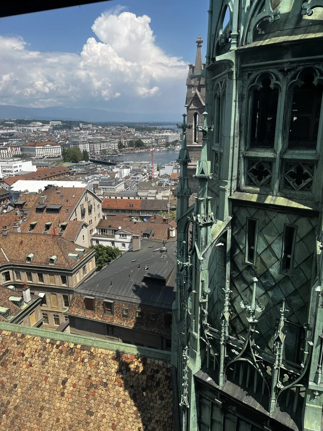 IMG_9589 (Large).JPEG