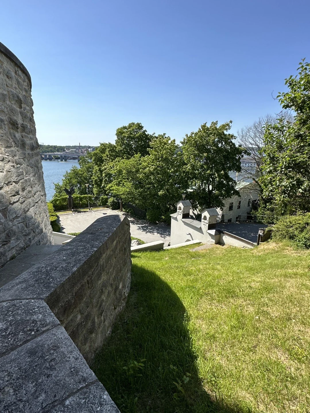 Foresta4 (Large).JPEG