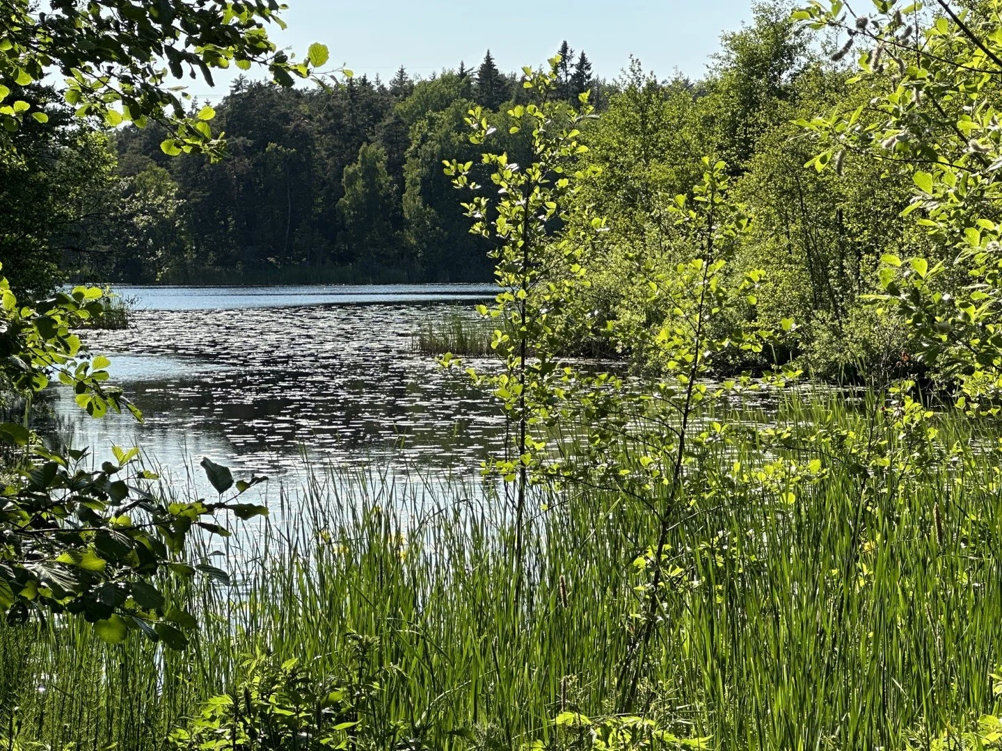 Kottlasjon Lake, where we fished and ice skated as kids.