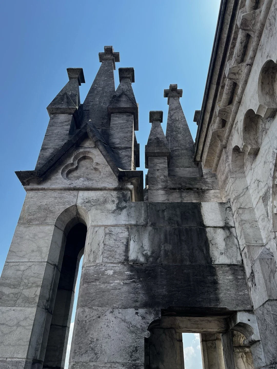 IMG_9608 (Large).JPEG