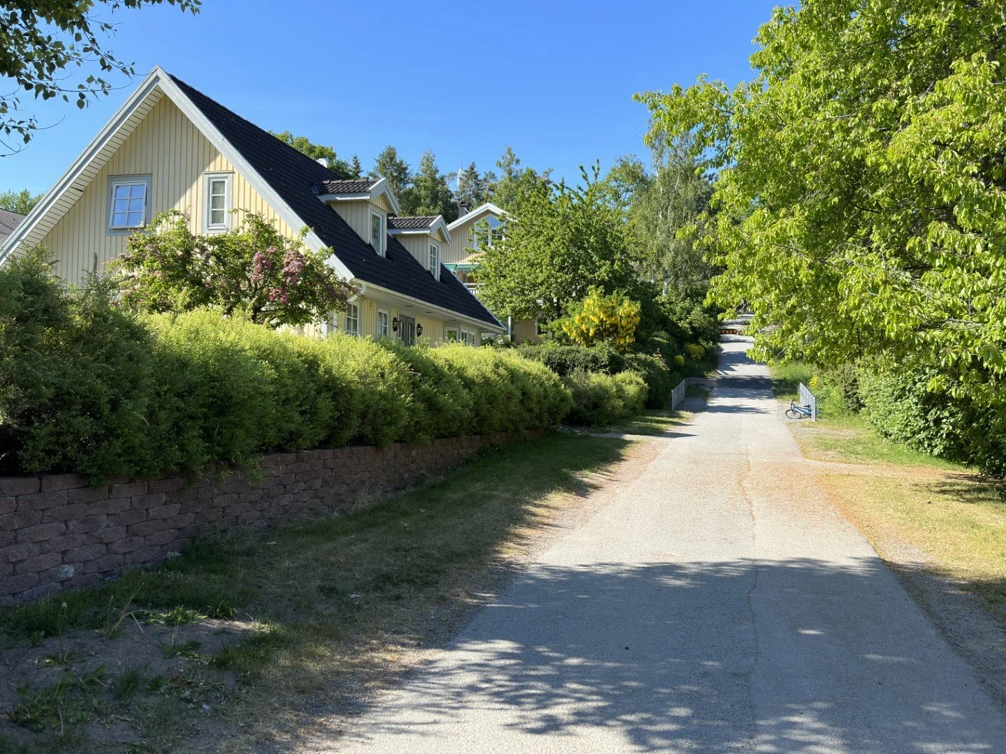 Neighborhood (Large).JPEG