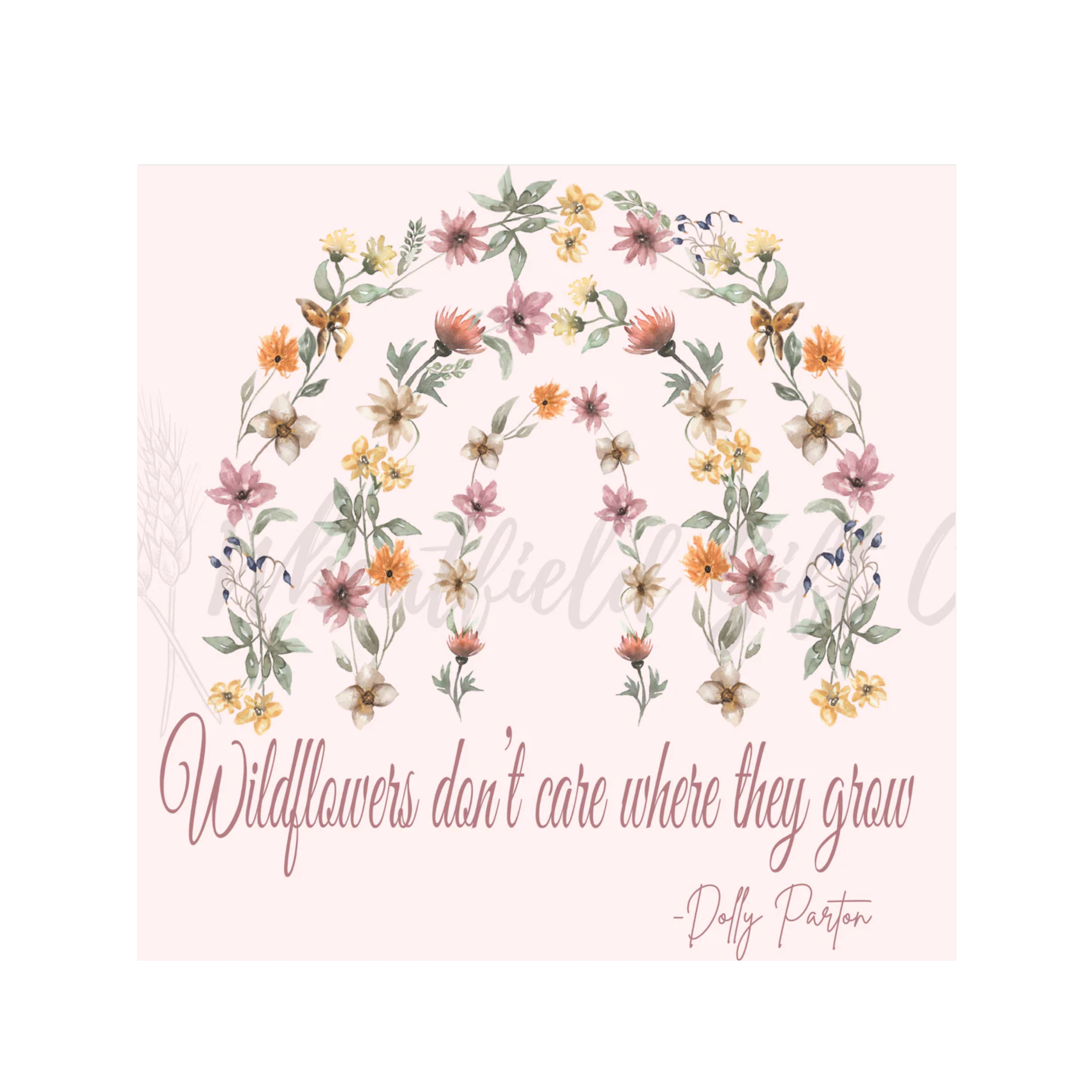 Wildflowers dont care where they grow
